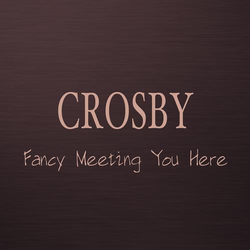 Постер альбома Fancy Meeting You Here