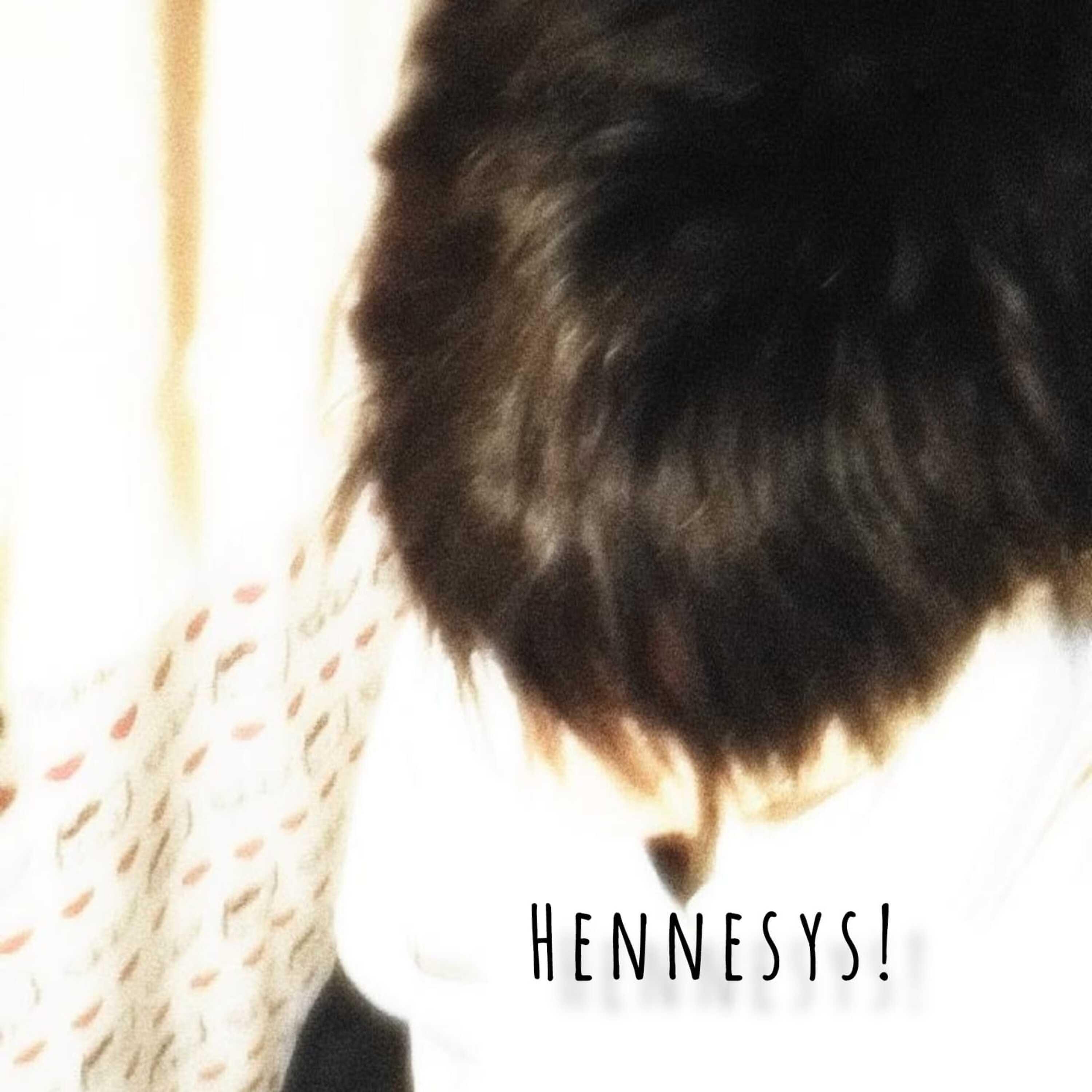 Постер альбома Hennesys!