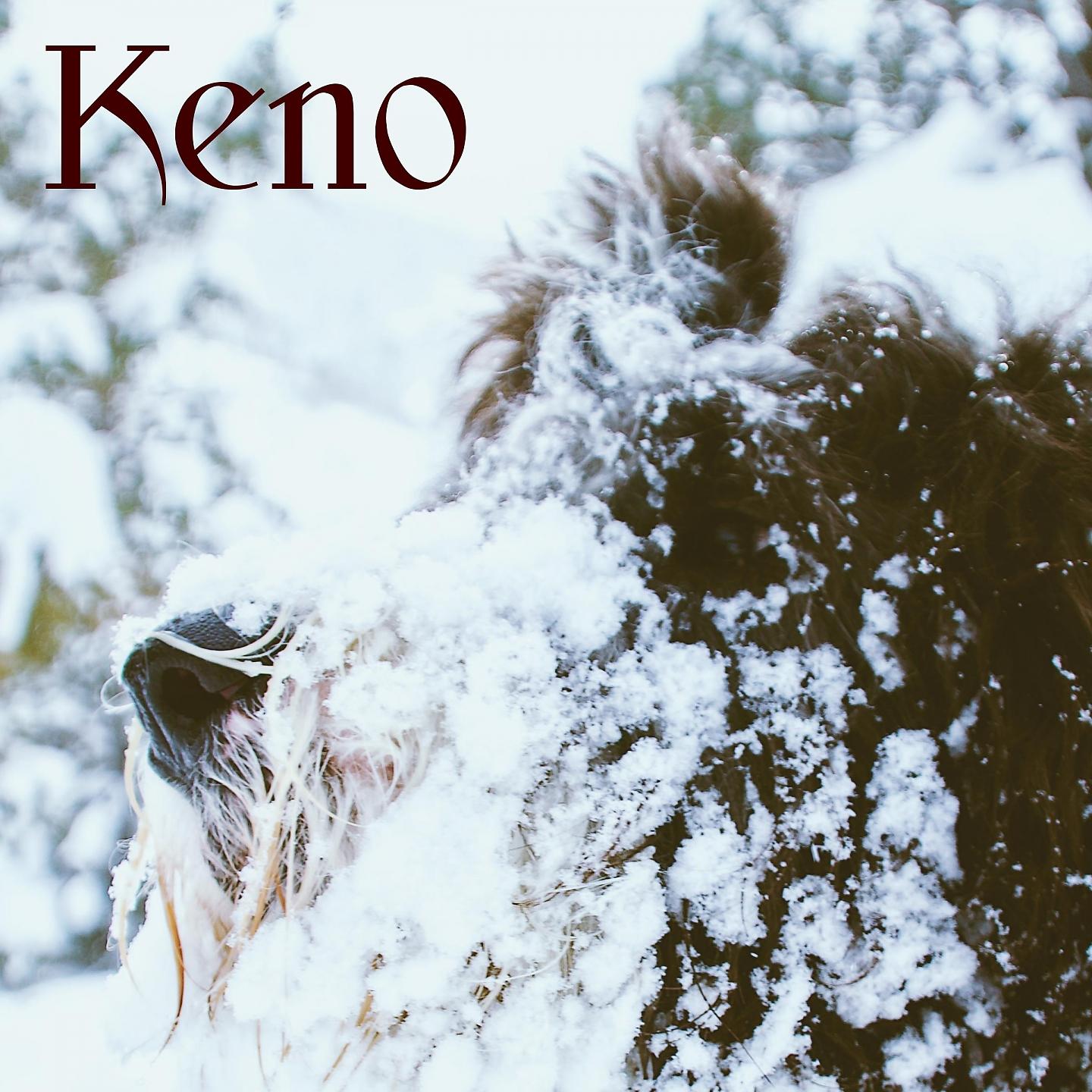 Постер альбома Keno