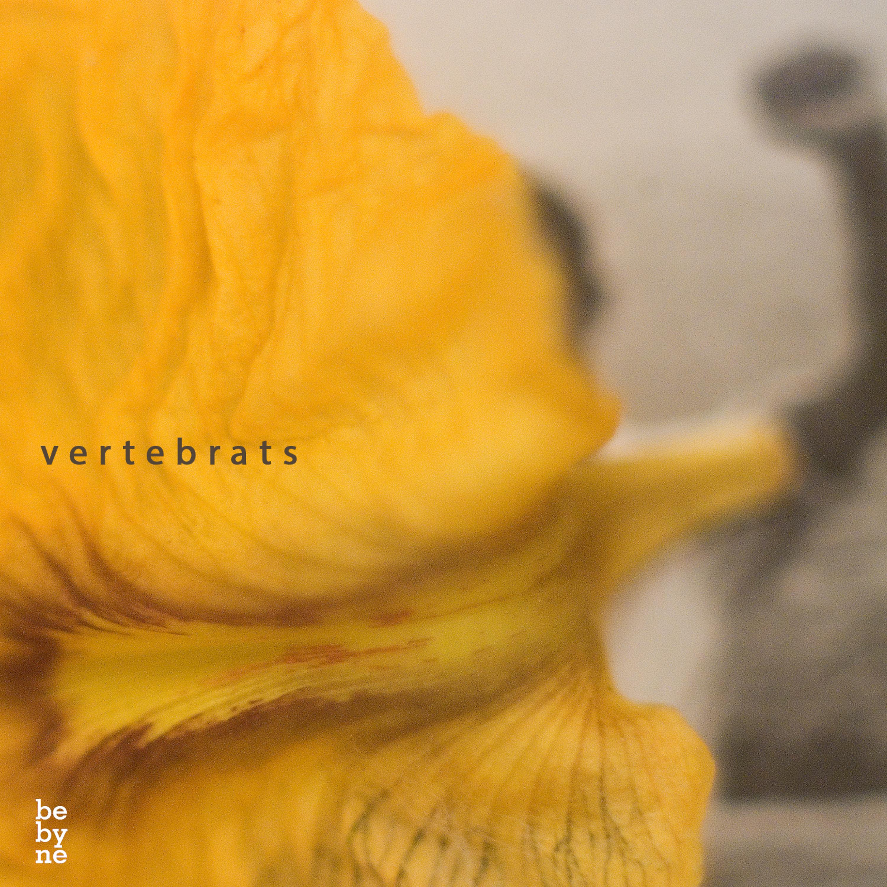 Постер альбома Vertebrats