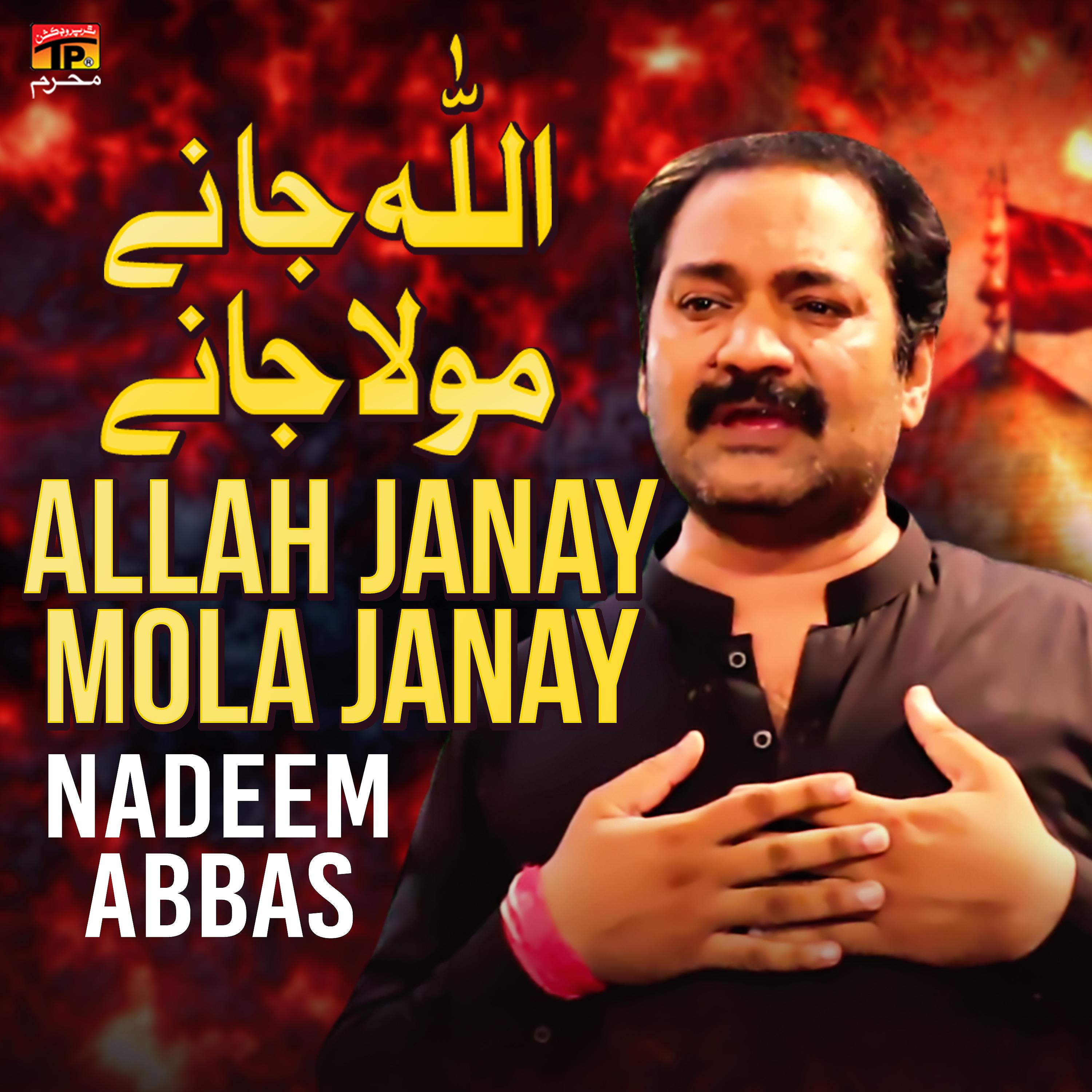 Постер альбома Allah Janay Mola Janay - Single