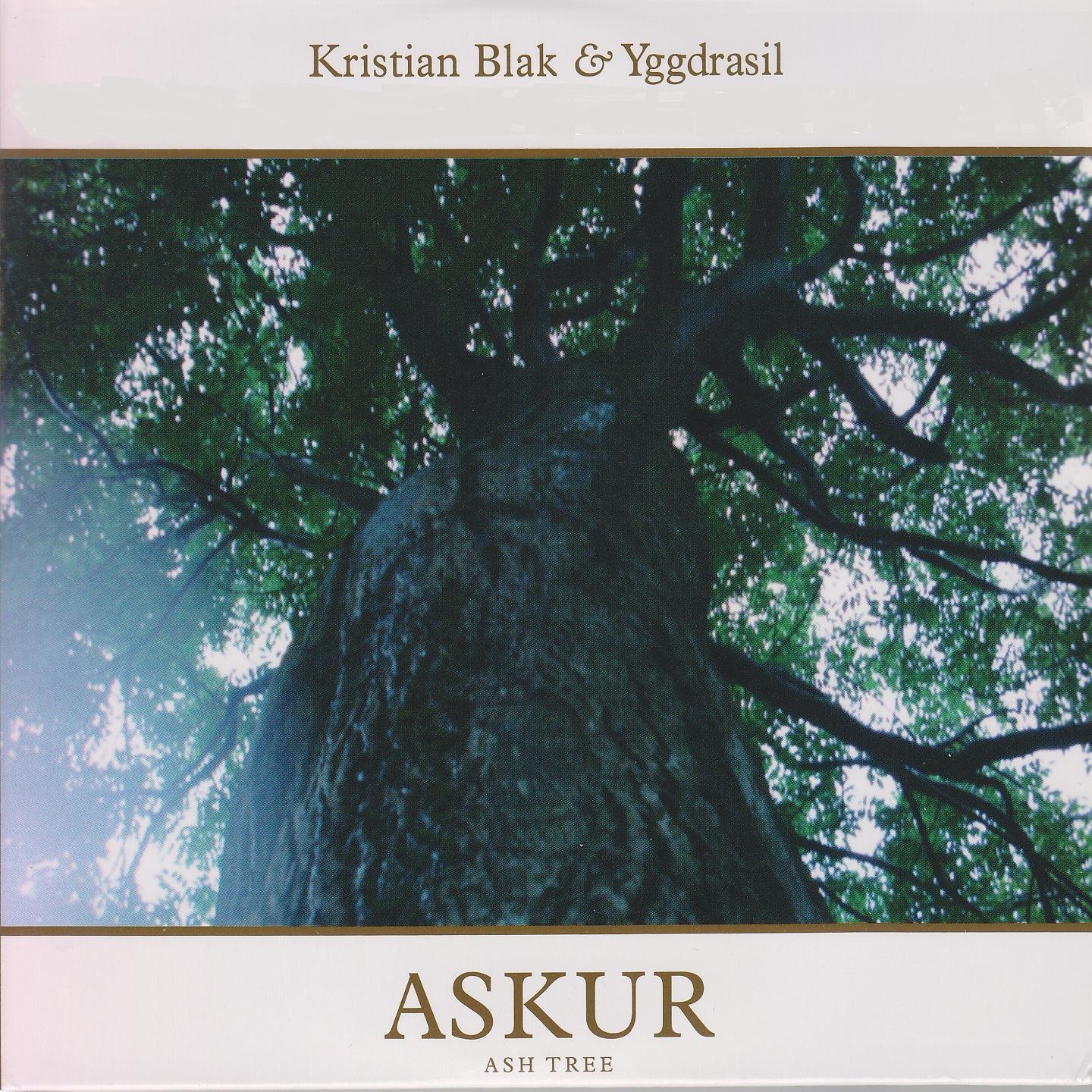 Постер альбома Askur
