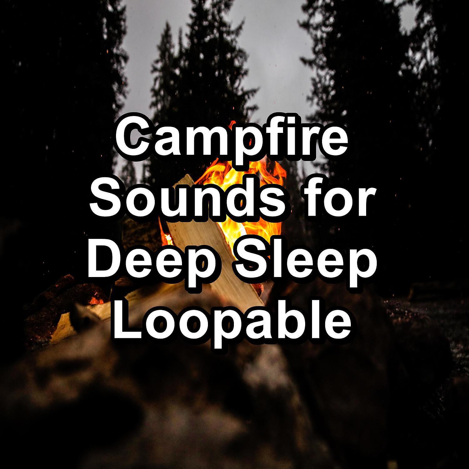 Постер альбома Campfire Sounds for Deep Sleep Loopable