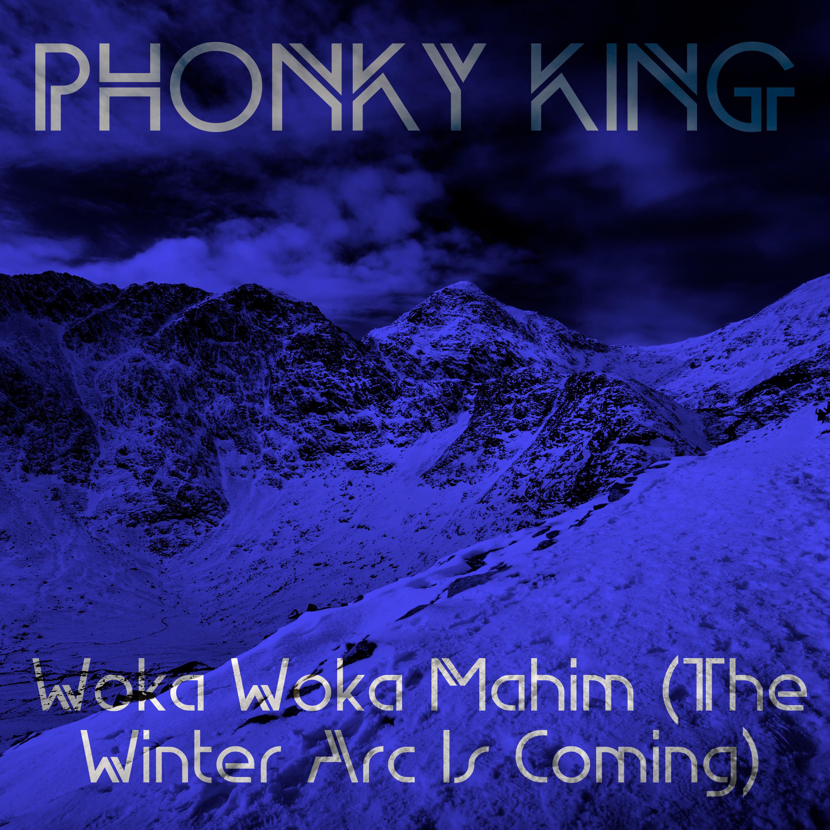Постер альбома Woka Woka Mahim (The Winter Arc Is Coming)
