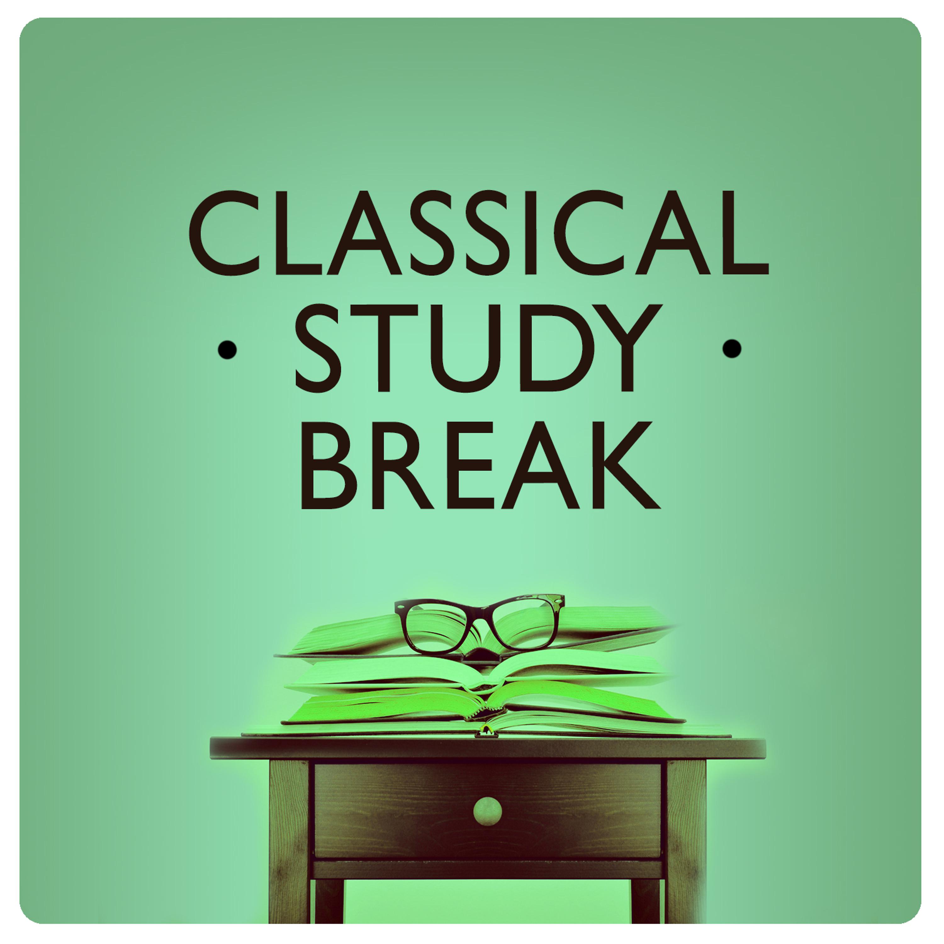 Постер альбома Classical Study Break