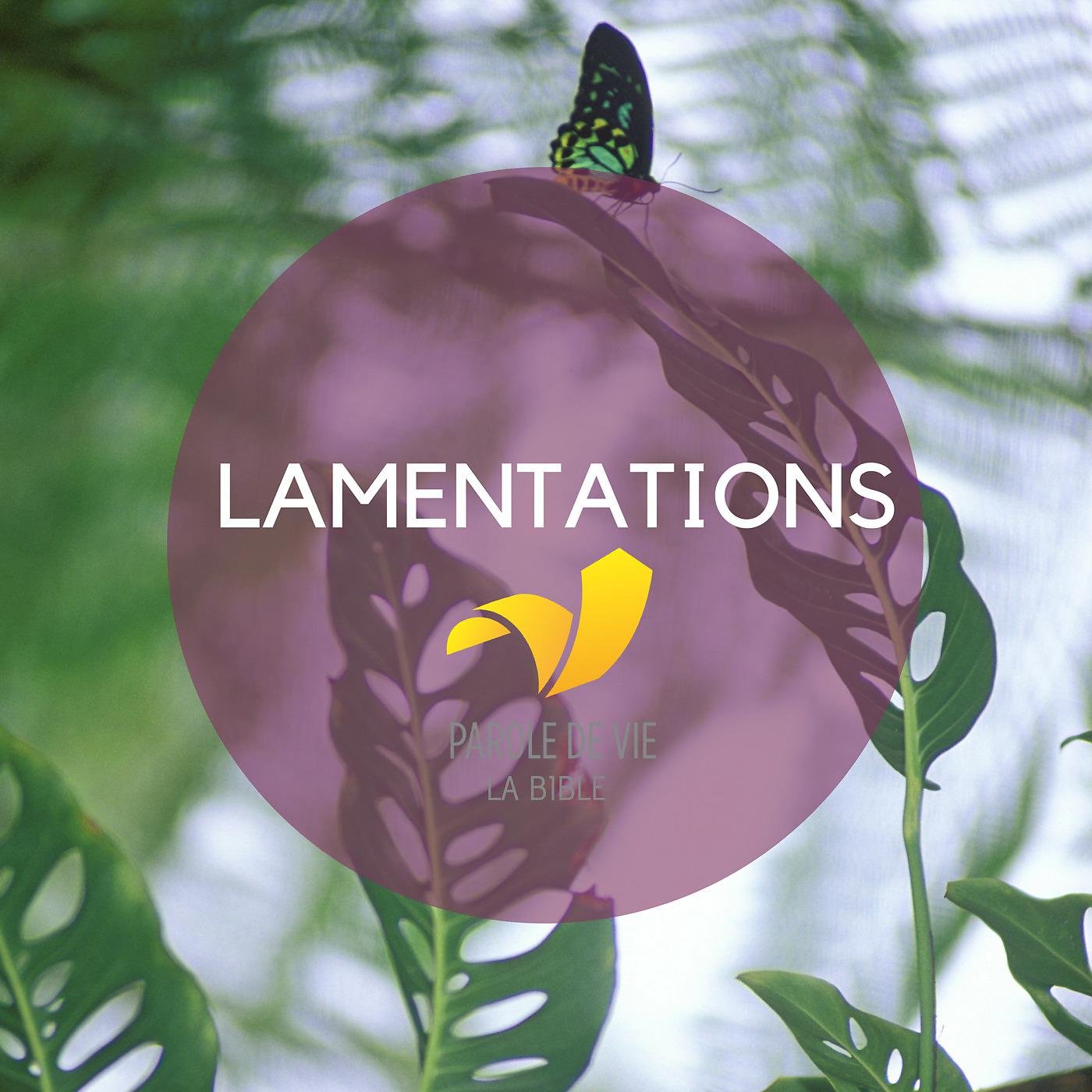 Постер альбома Lamentations