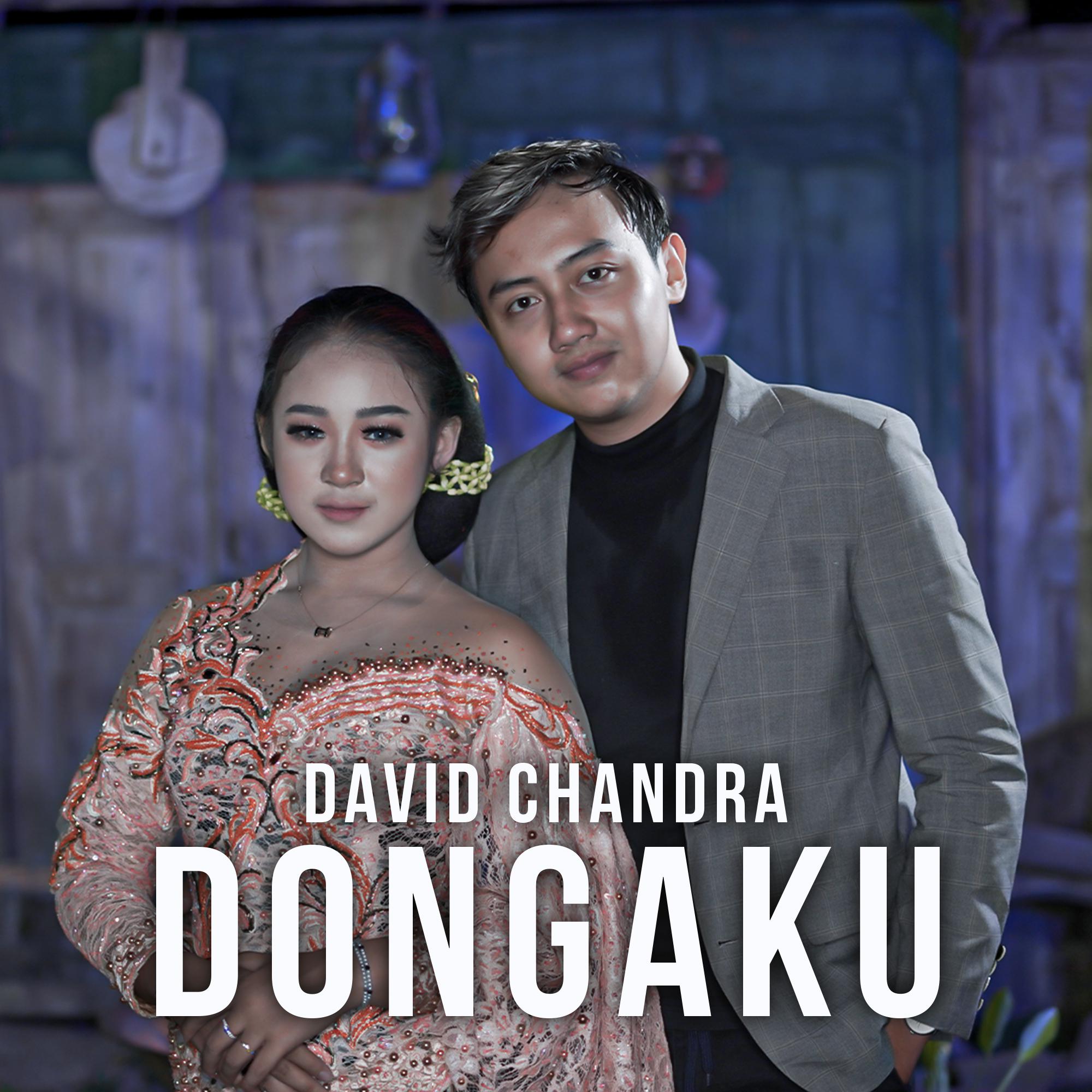 Постер альбома Dongaku
