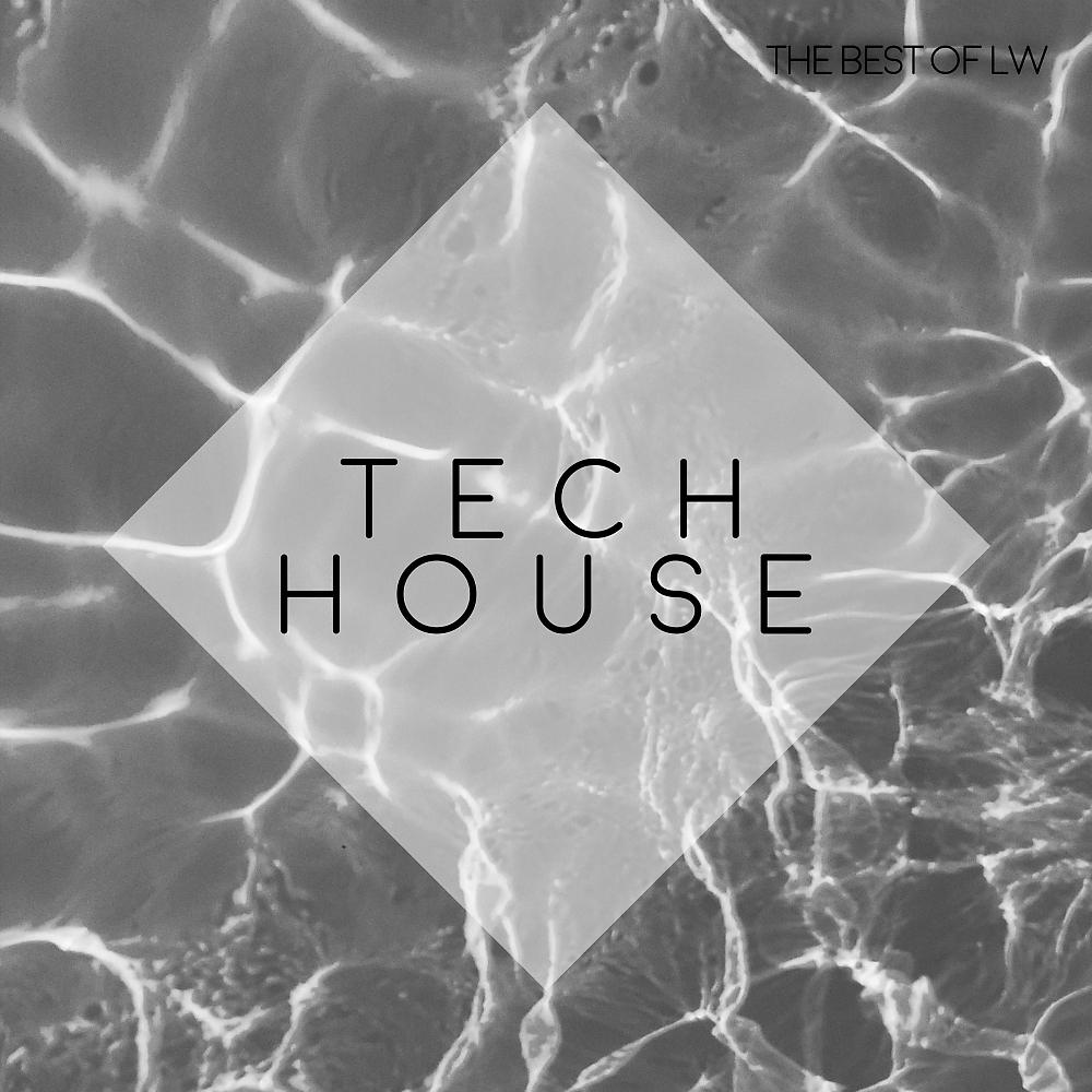 Постер альбома Best of LW Tech House IV