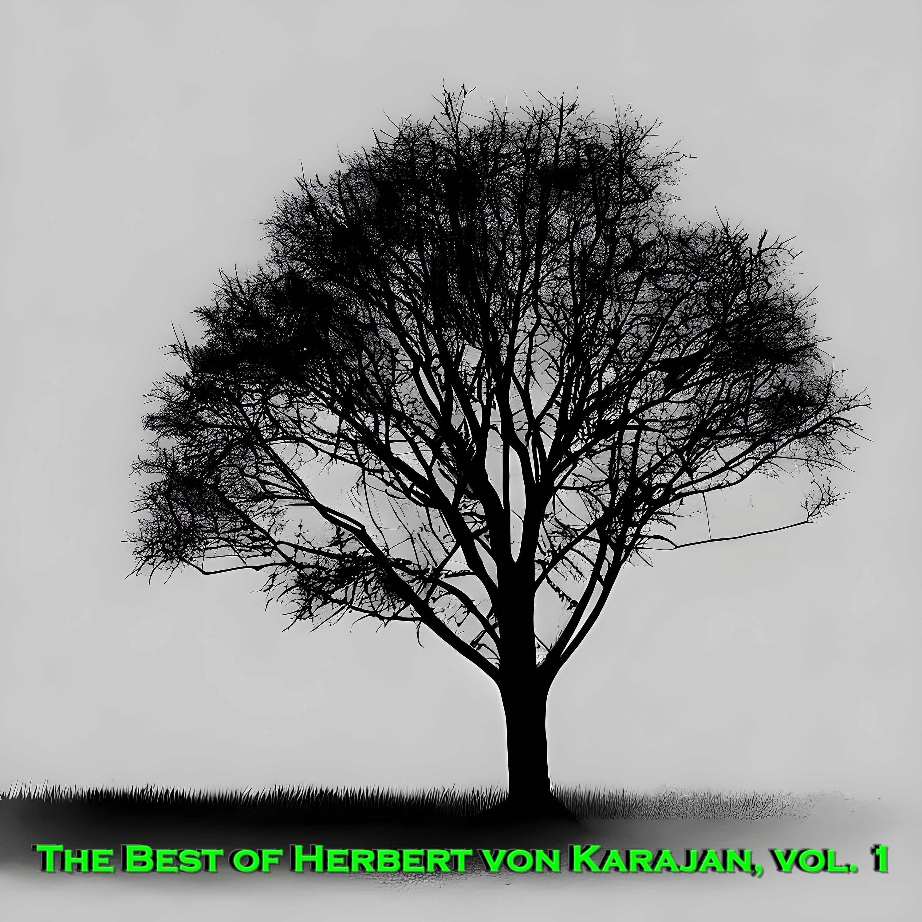 Постер альбома The Best of Herbert von Karajan, Vol. 1