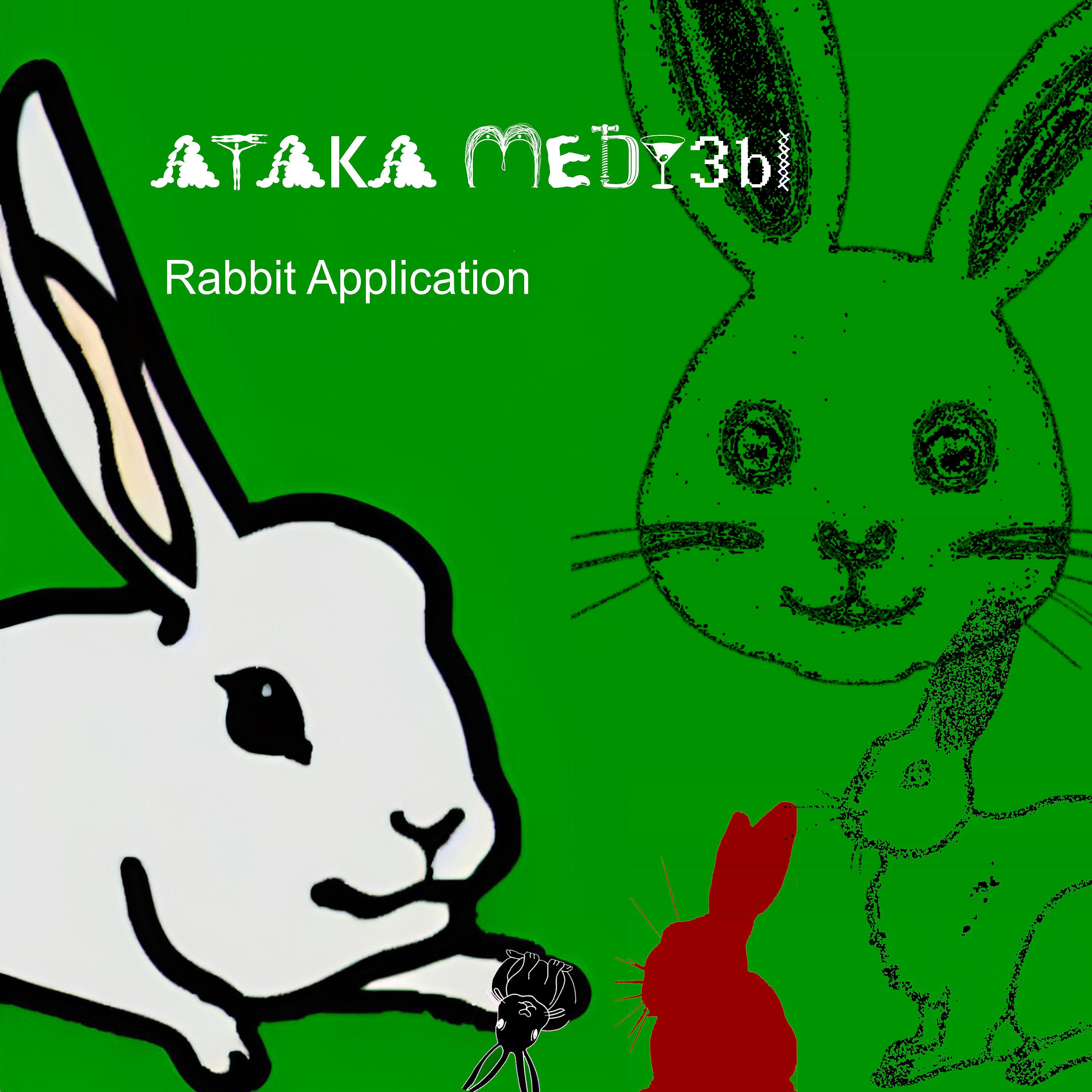 Постер альбома Rabbit Application