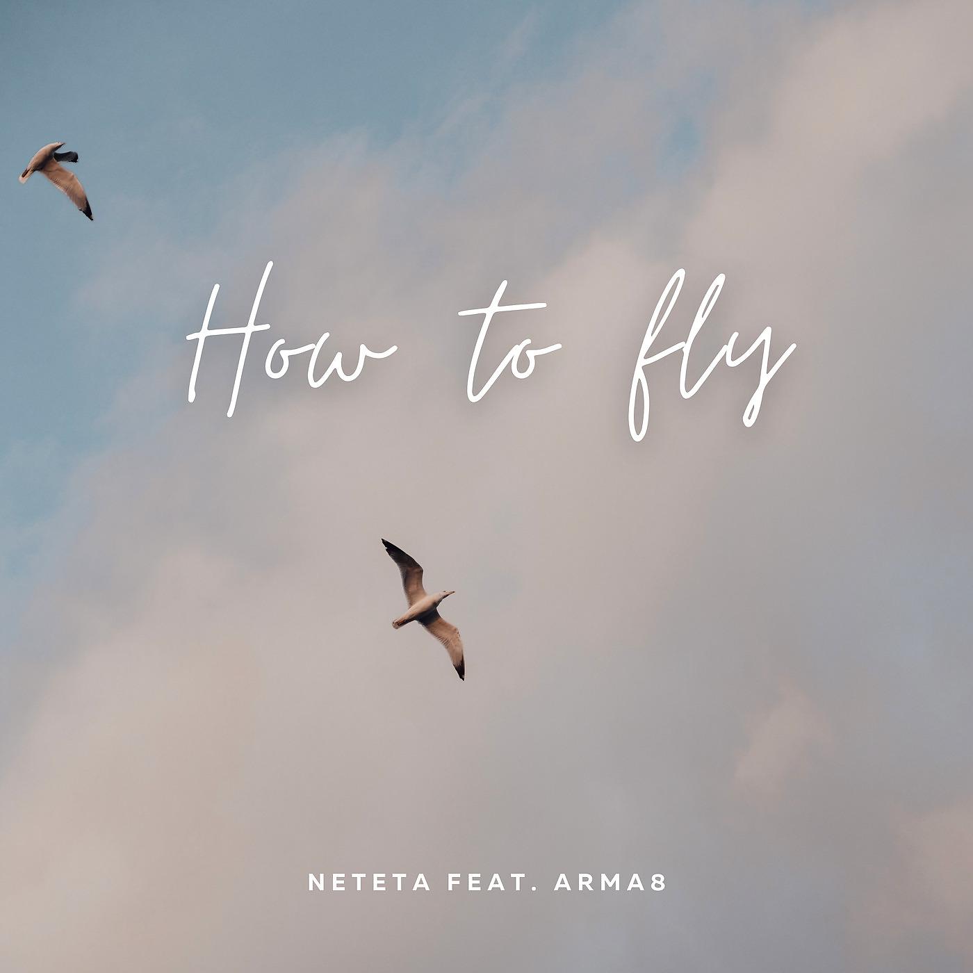 Постер альбома How to Fly