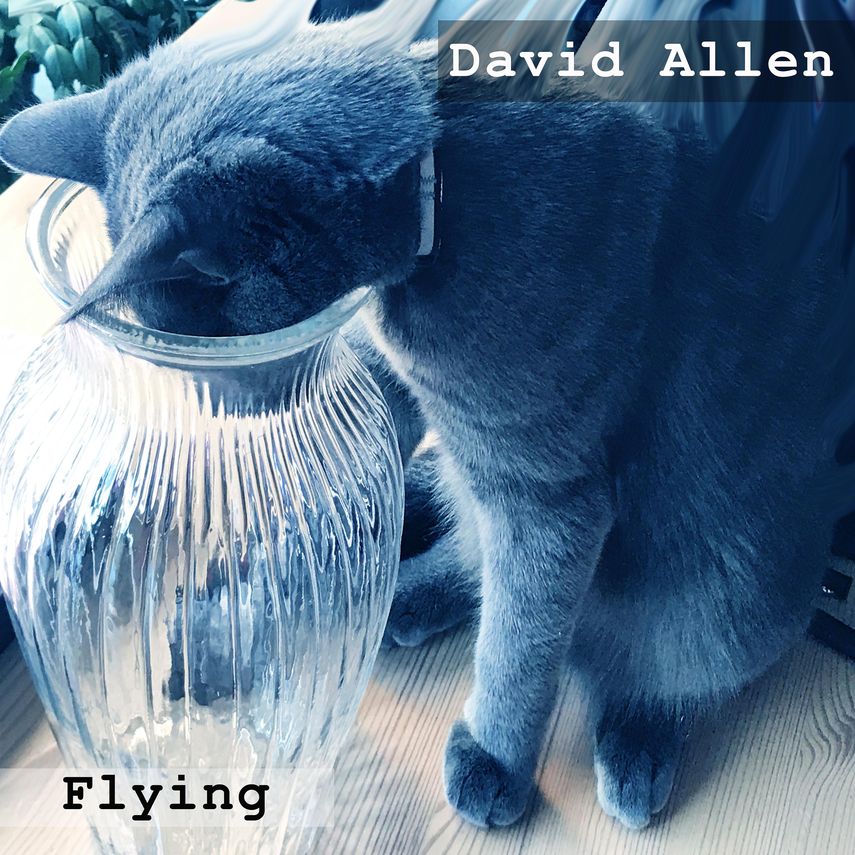 Постер альбома Flying (Radio Edit)