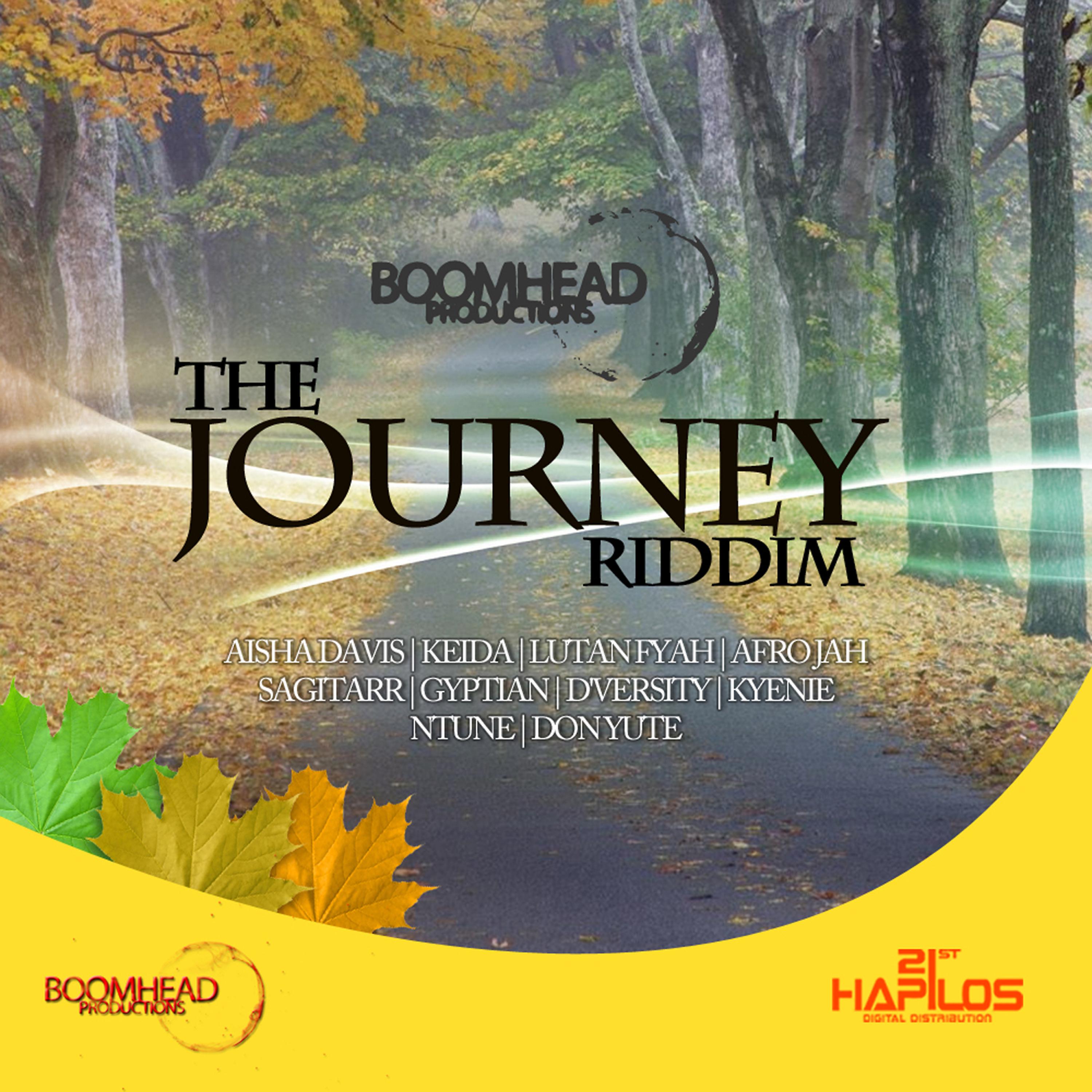 Постер альбома The Journey Riddim
