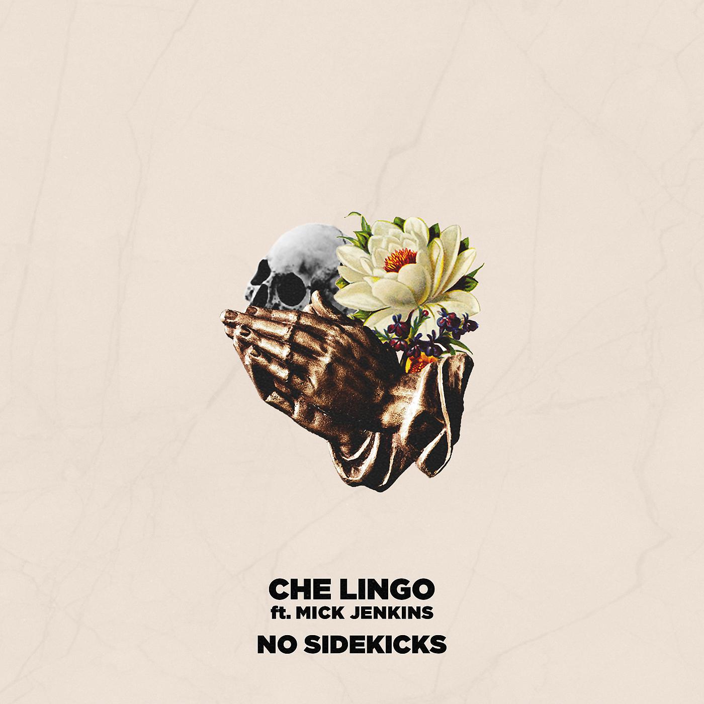 Постер альбома No Sidekicks