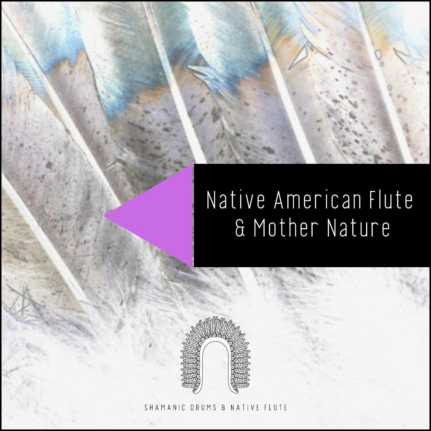 Постер альбома Native American Flute & Mother Nature