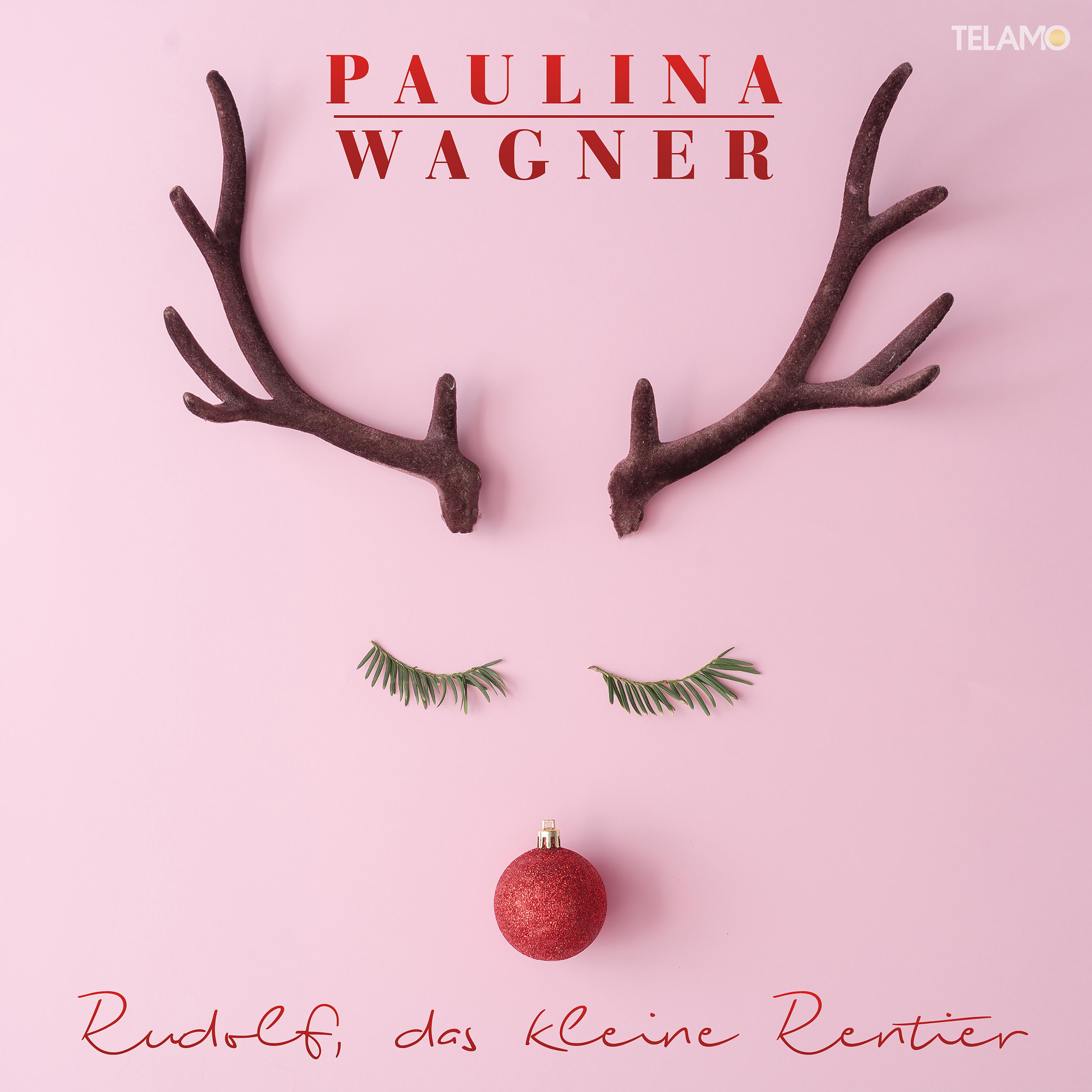 Постер альбома Rudolf, das kleine Rentier