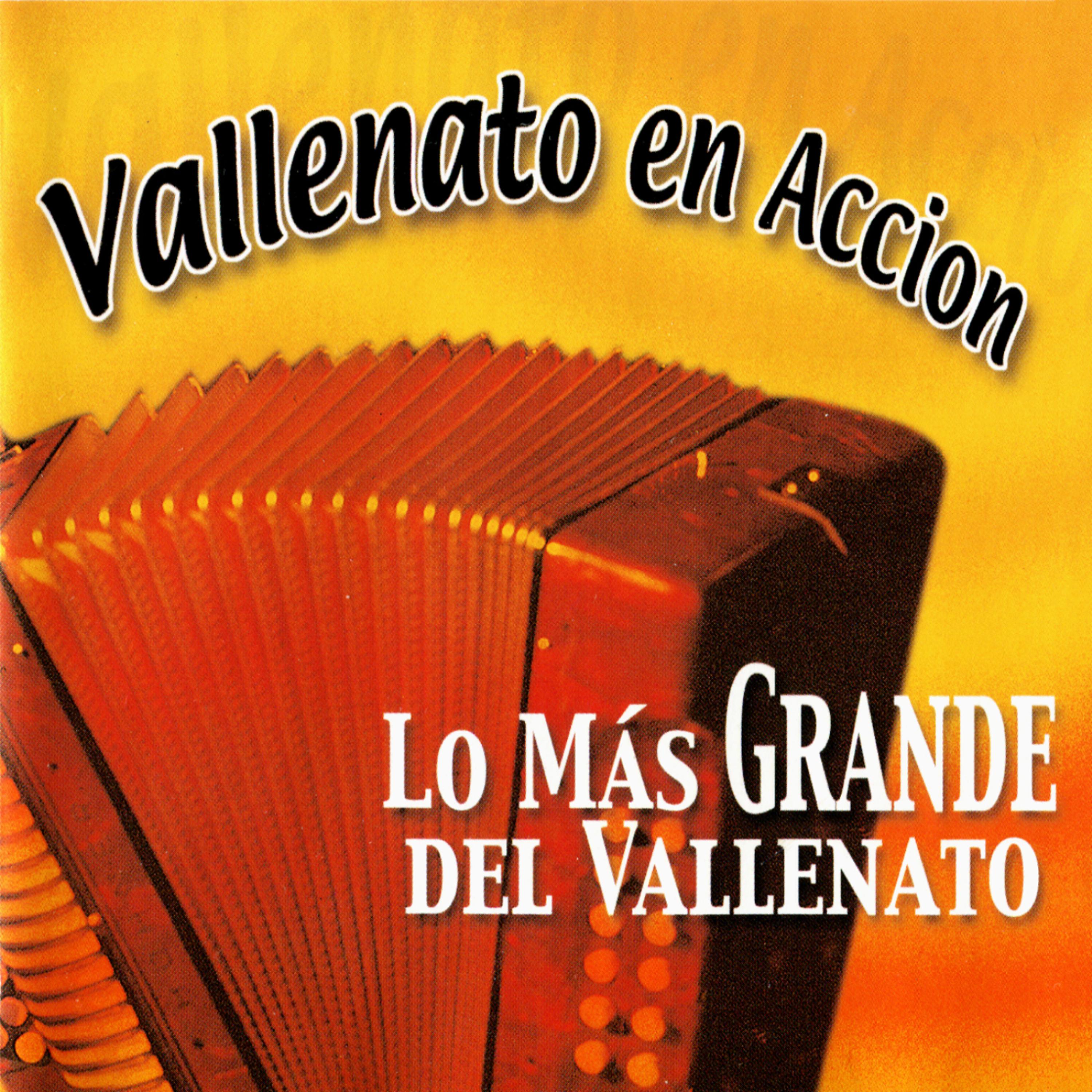 Постер альбома Vallenato en Accion: Lo Más Grande del Vallenato