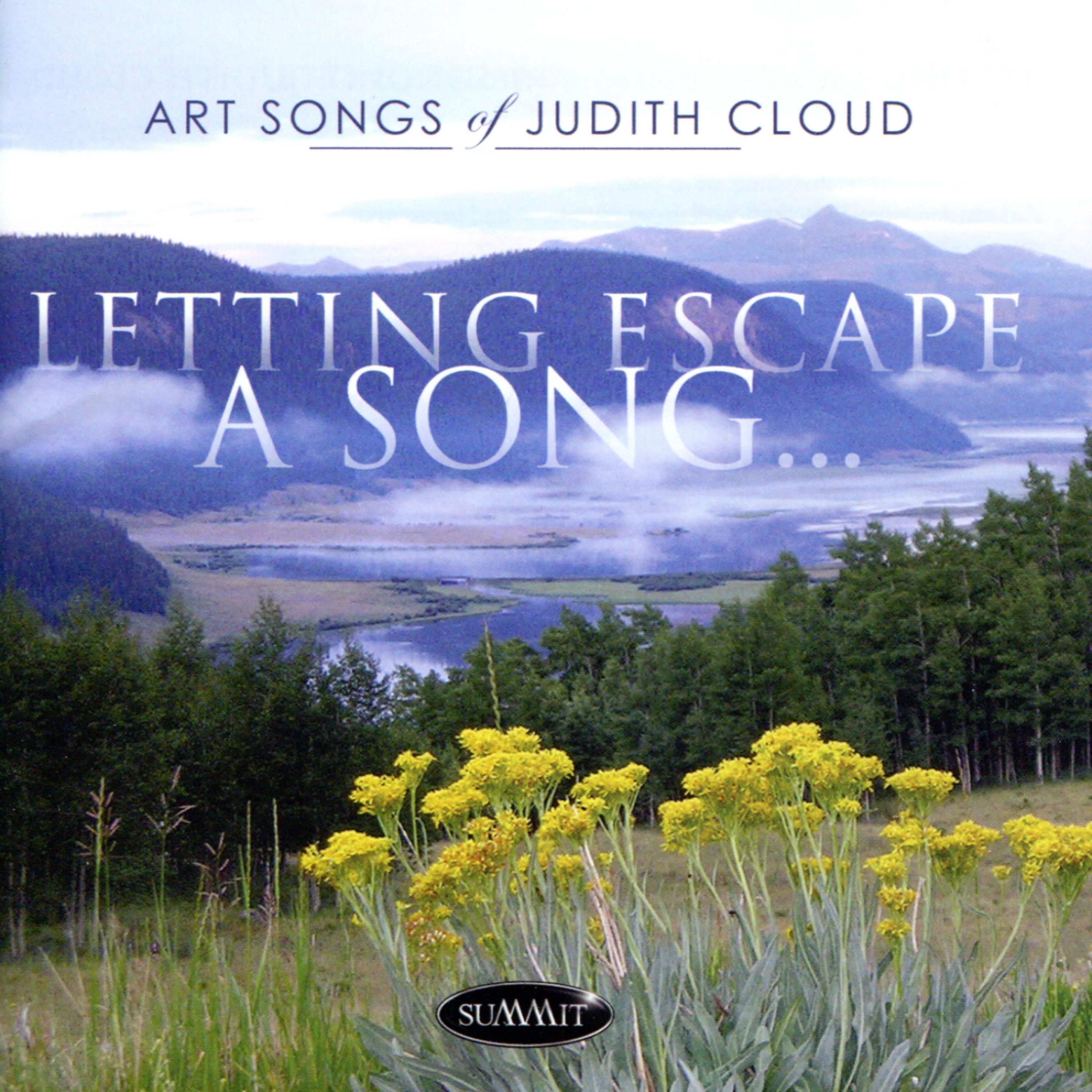 Постер альбома Letting Escape a Song