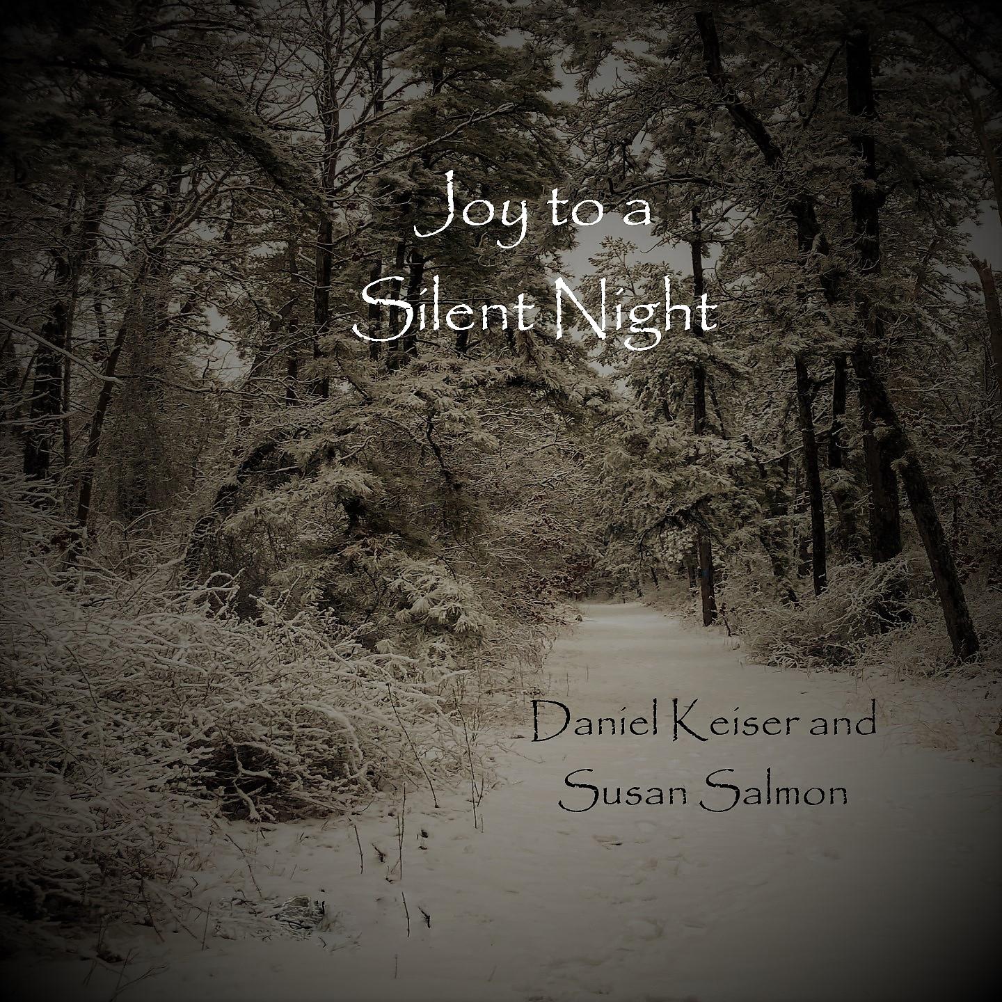 Постер альбома Joy to a Silent Night