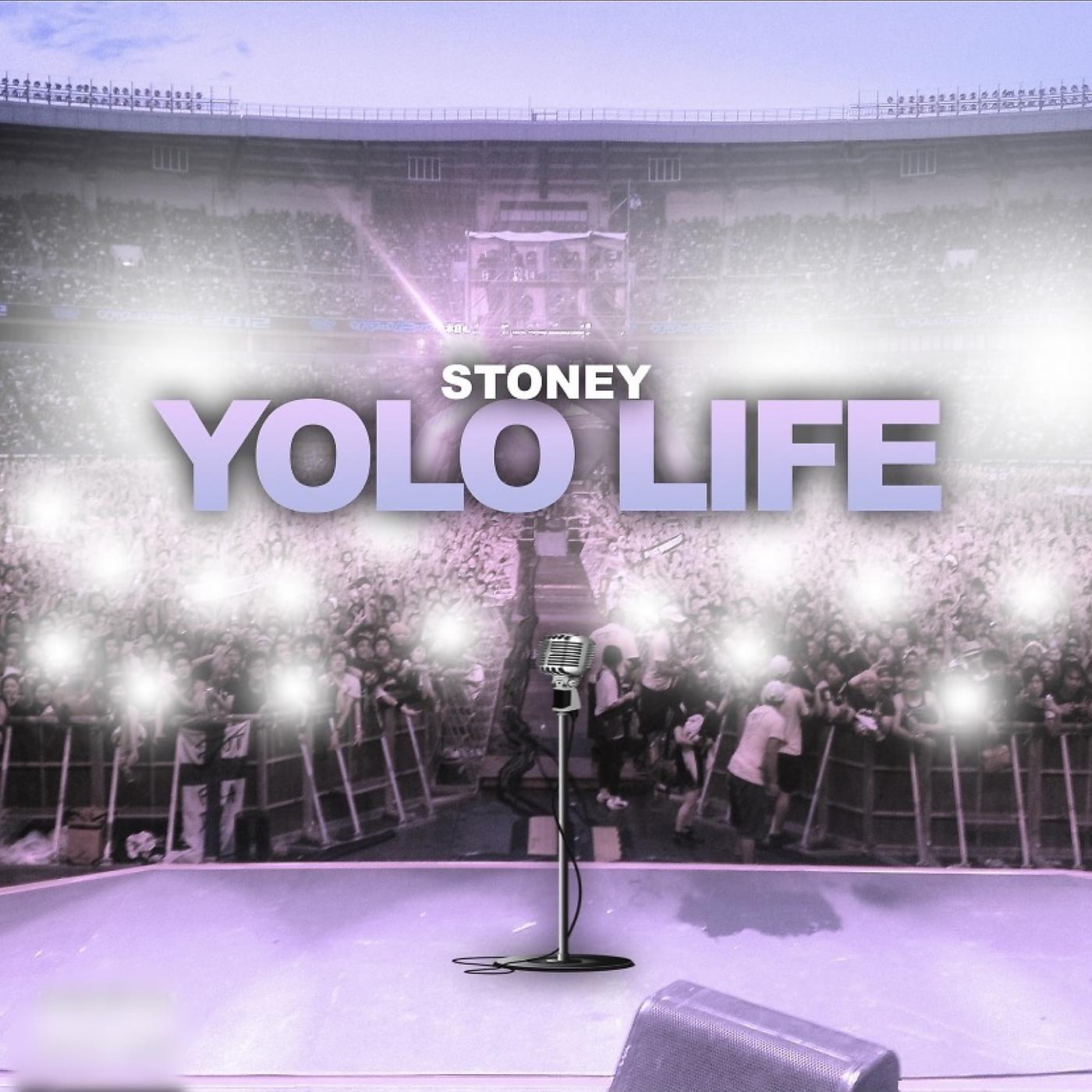Постер альбома Yolo Life