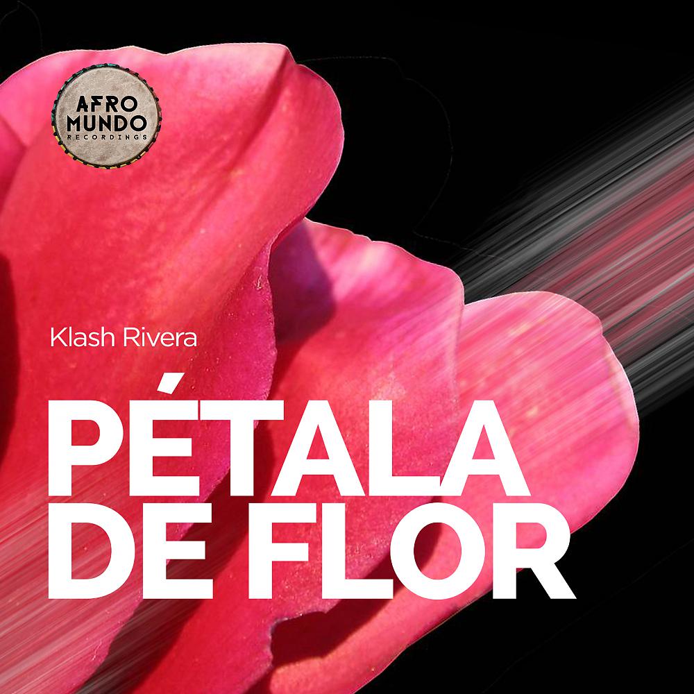 Постер альбома Petala De Flor
