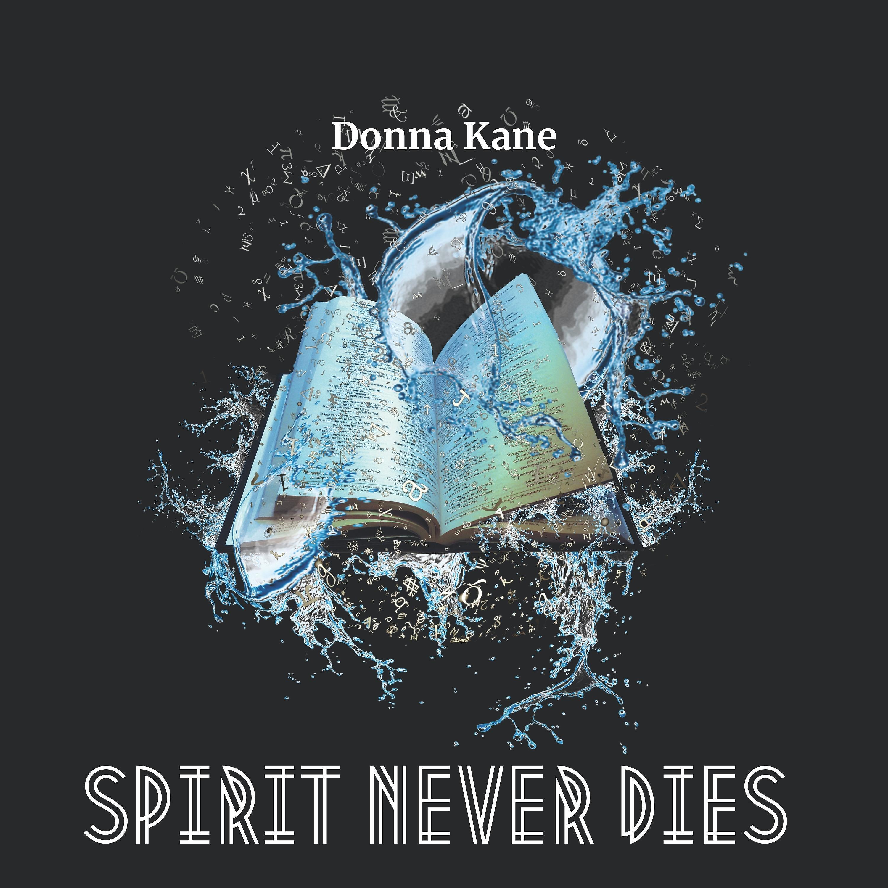 Постер альбома Spirit Never Dies