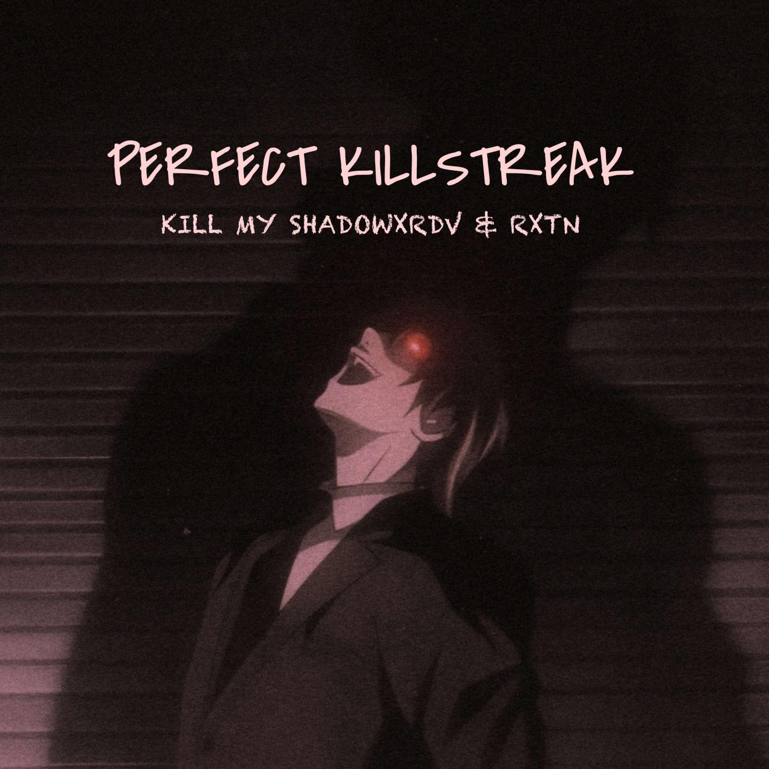 Постер альбома Perfect Killstreak