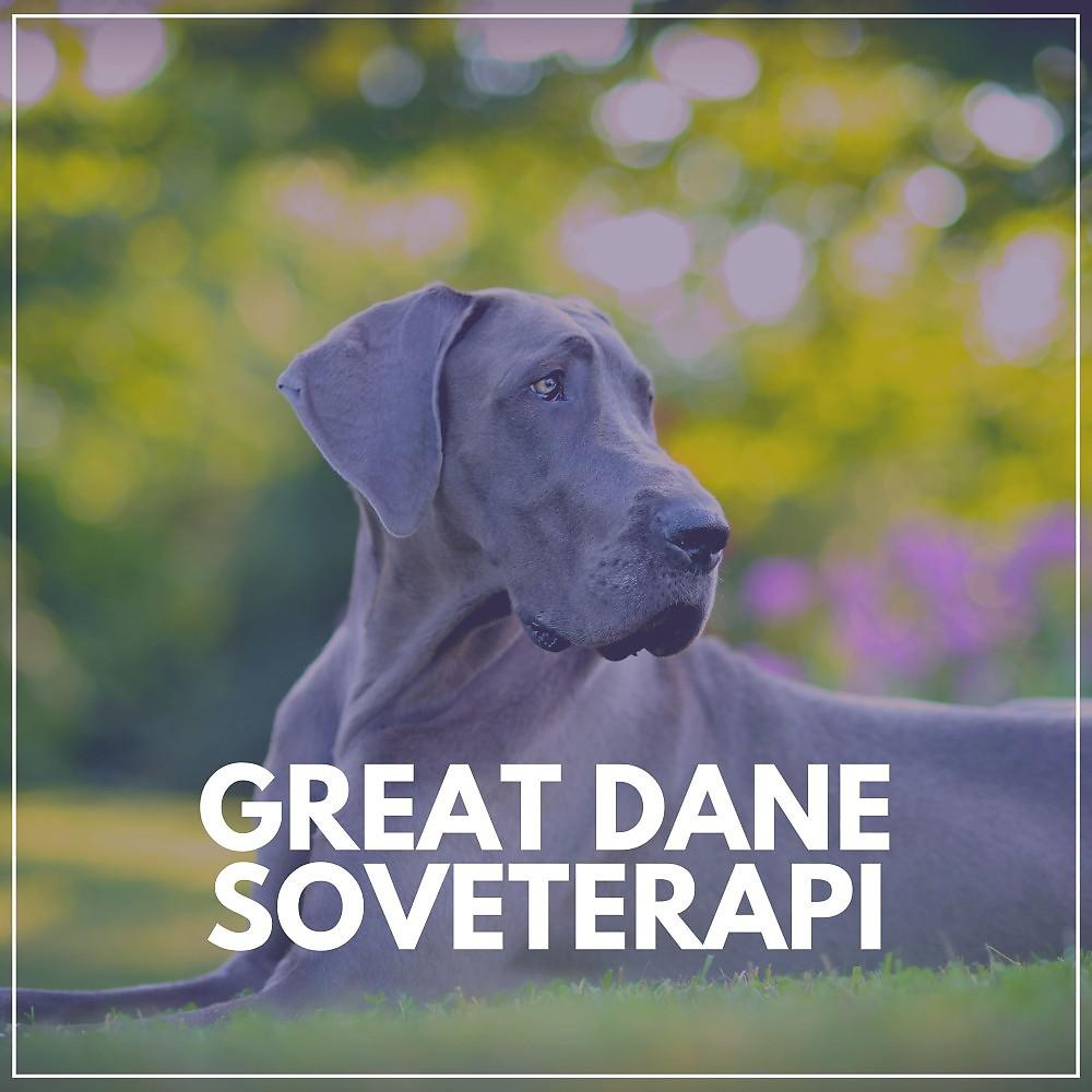 Постер альбома Great Dane Soveterapi