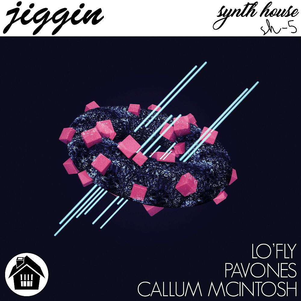 Постер альбома Jiggin