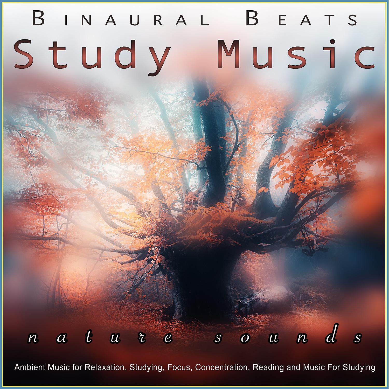 Постер альбома Binaural Beats Study Music: Ambient Music and Bird Sounds for Relaxation, Studying, Focus, Concentration, Reading and Music For Studying
