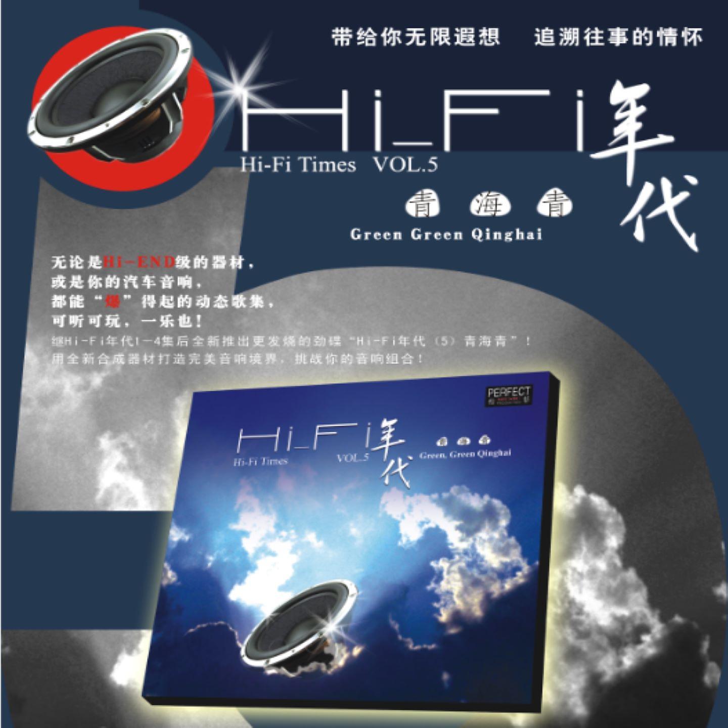 Постер альбома HI-FI年代5青海青