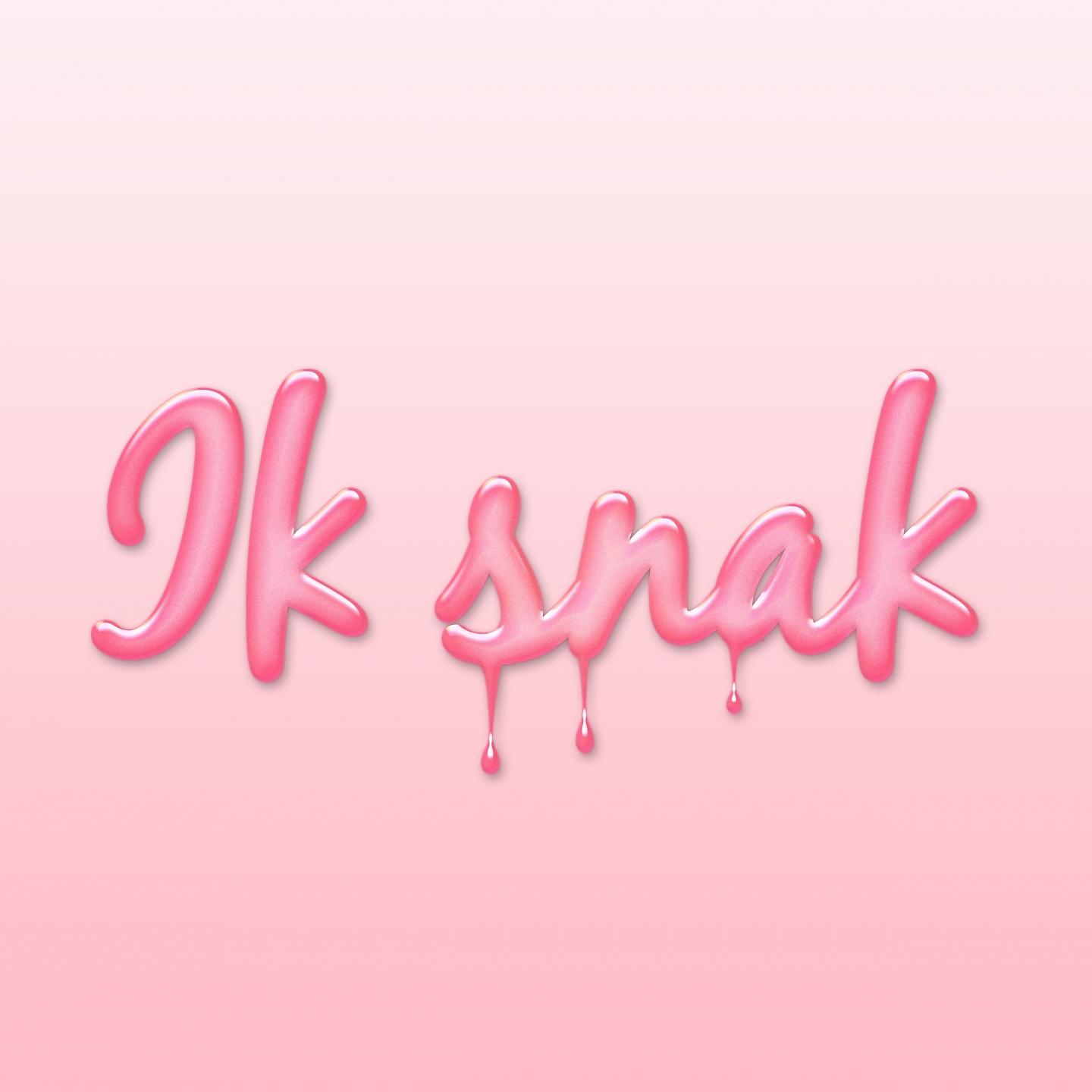 Постер альбома Ik Snak