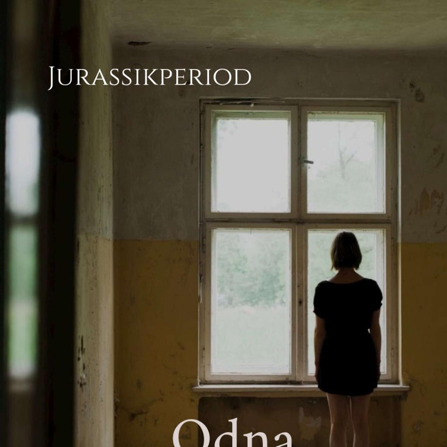 Постер альбома Odna