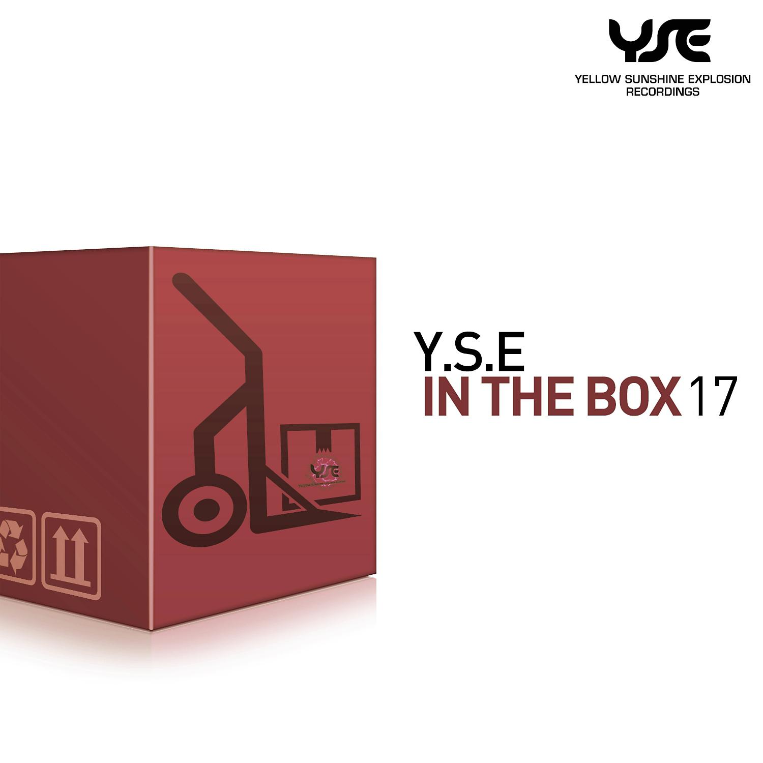 Постер альбома Y.S.E. in the Box, Vol. 17