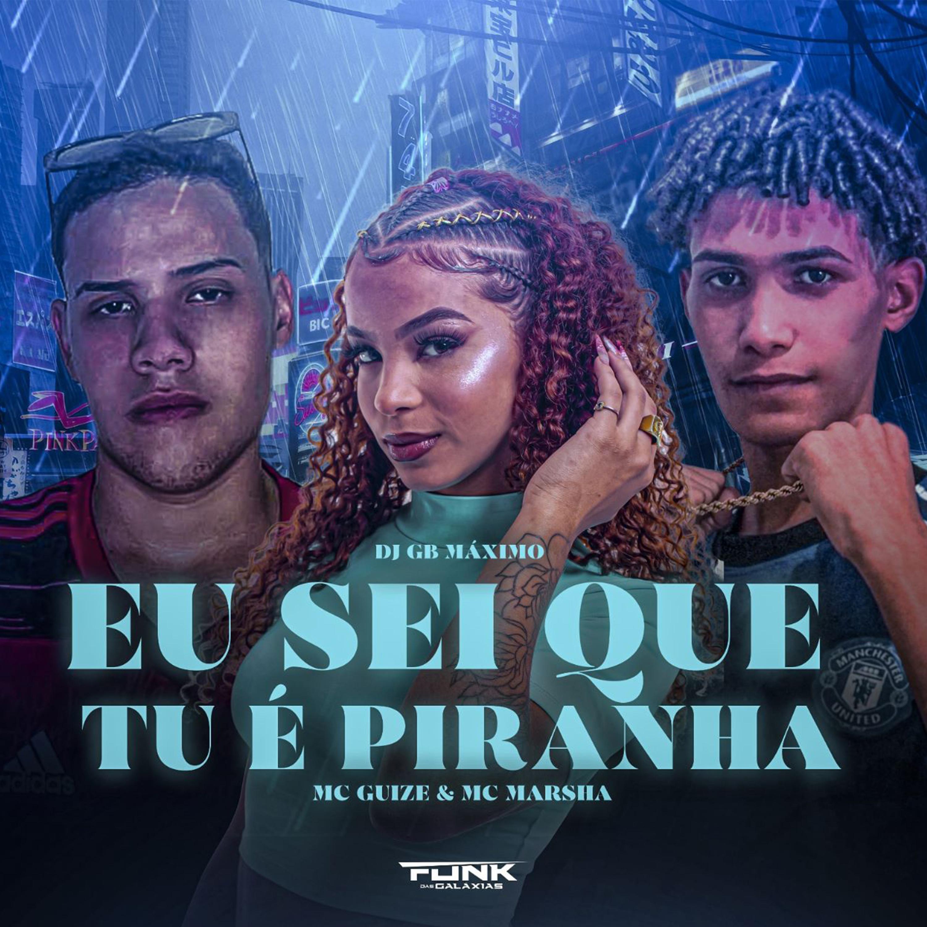 Постер альбома Eu Sei Que Tu É Piranha
