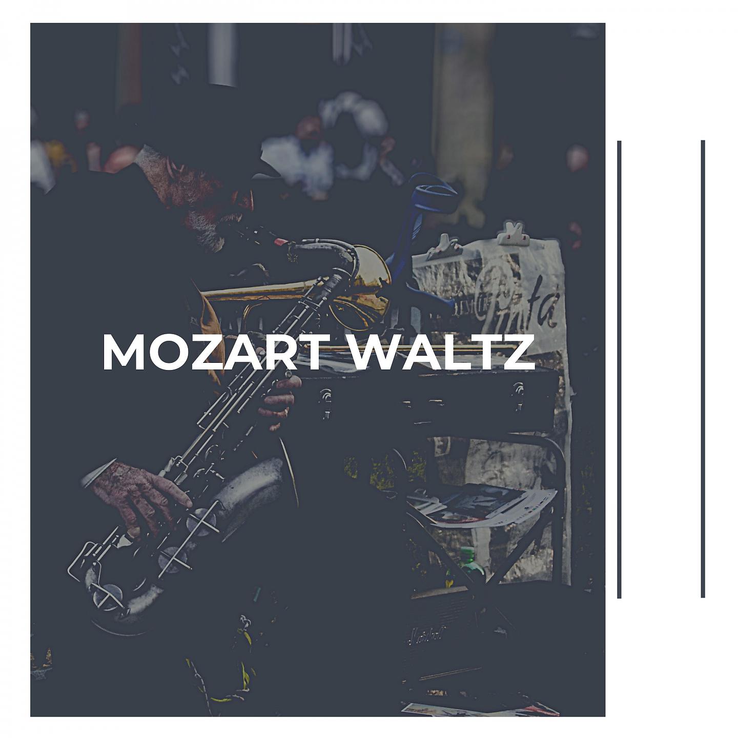 Постер альбома Mozart Waltz