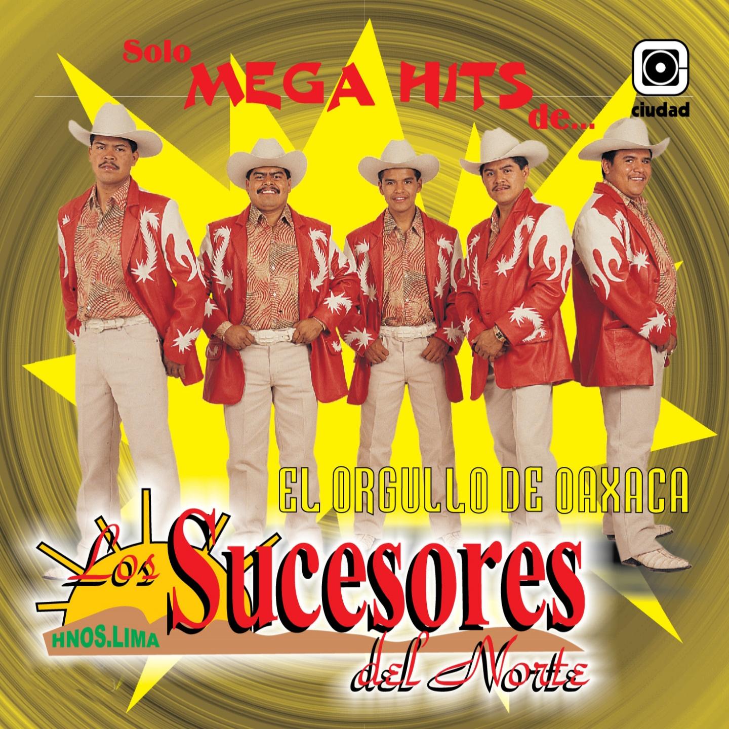 Постер альбома Sólo Mega Hits de los Sucesores del Norte