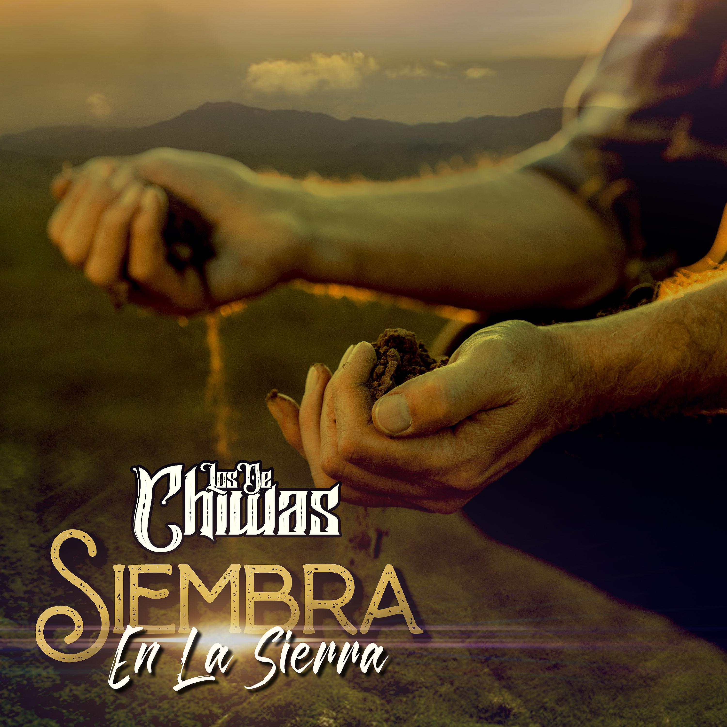 Постер альбома Siembra en la Sierra