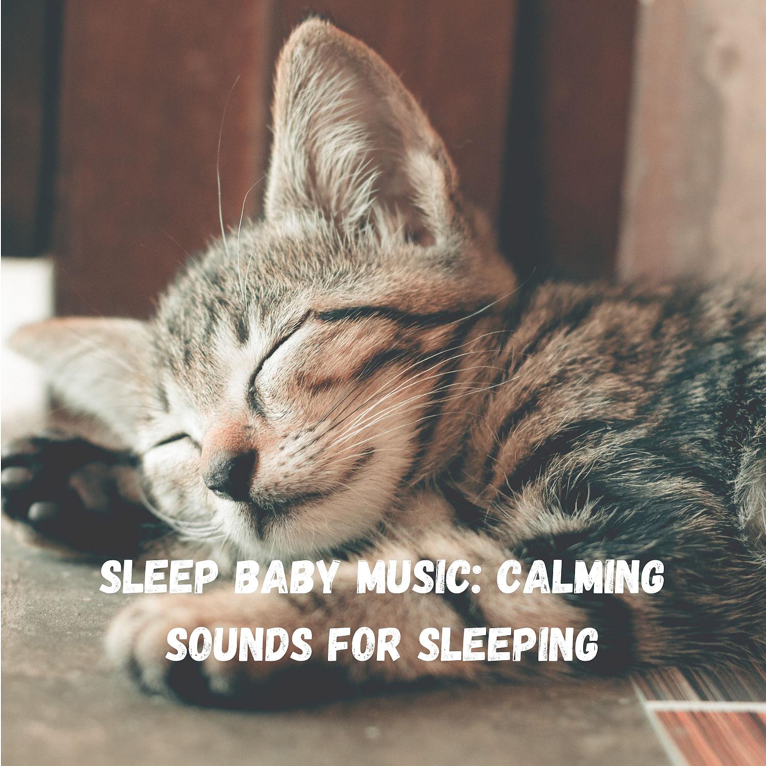Постер альбома Sleep Baby Music: Calming Sounds for Sleeping