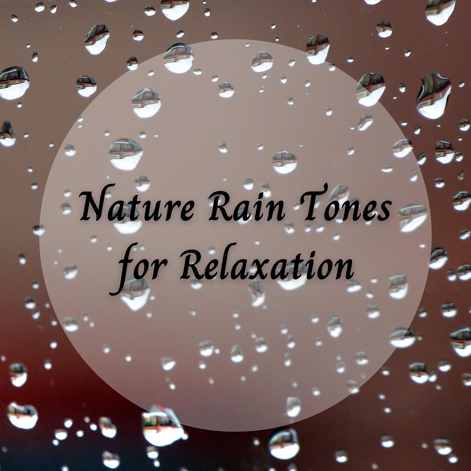 Постер альбома Nature Rain Tones for Relaxation