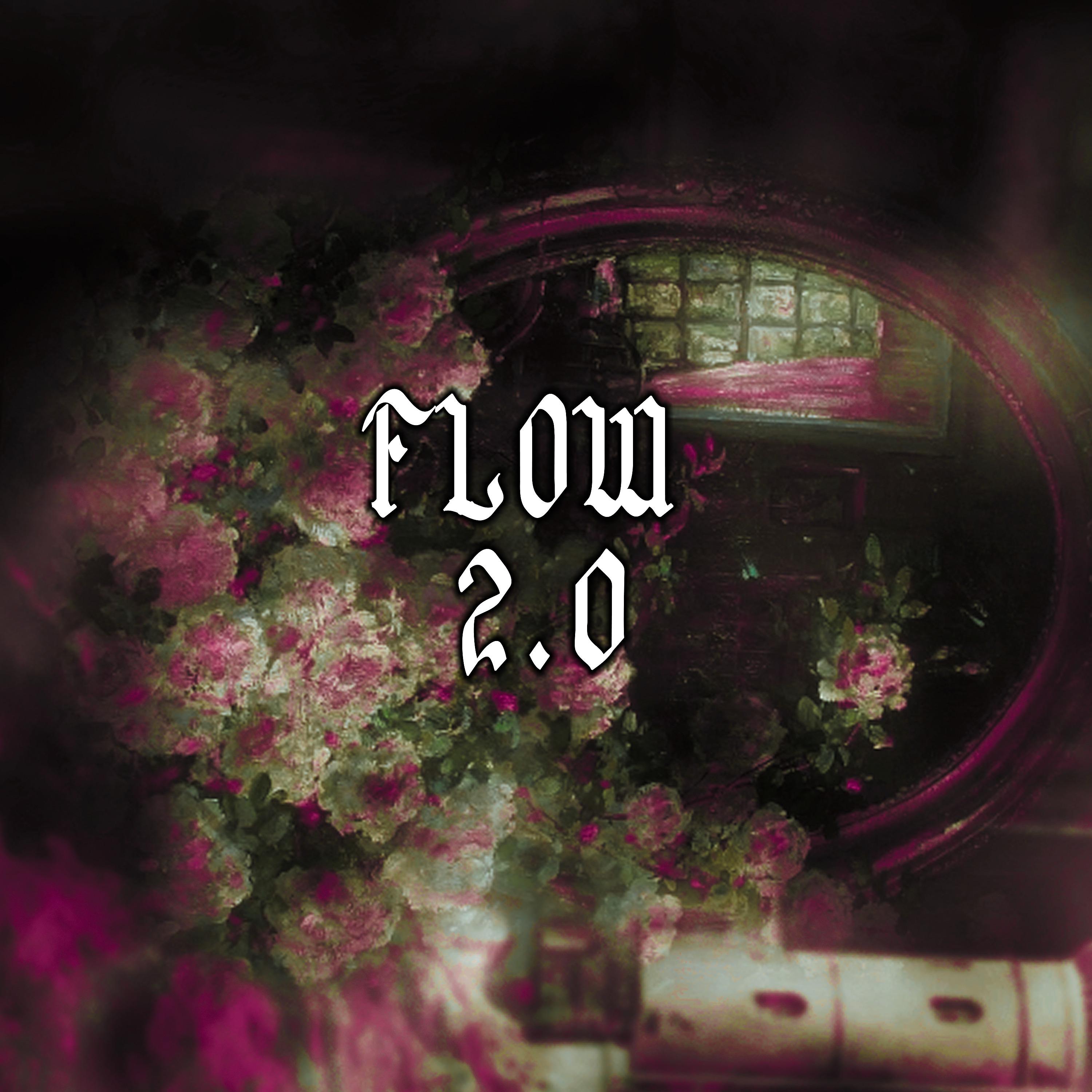 Постер альбома Flow 2.0