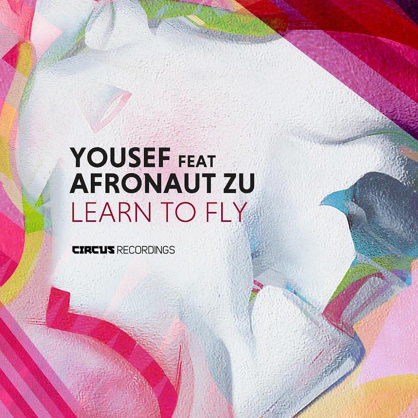 Постер альбома Learn To Fly