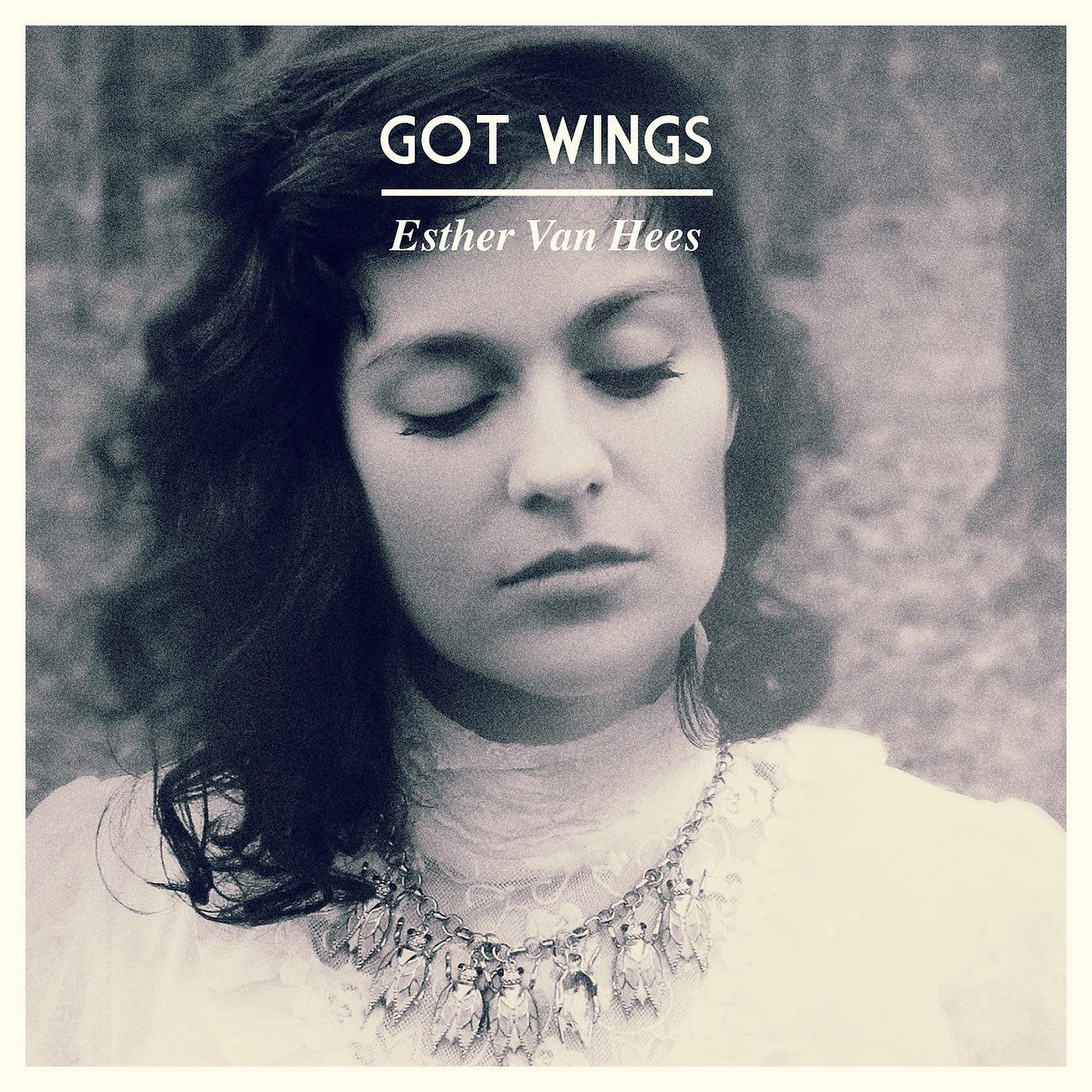 Постер альбома Got Wings