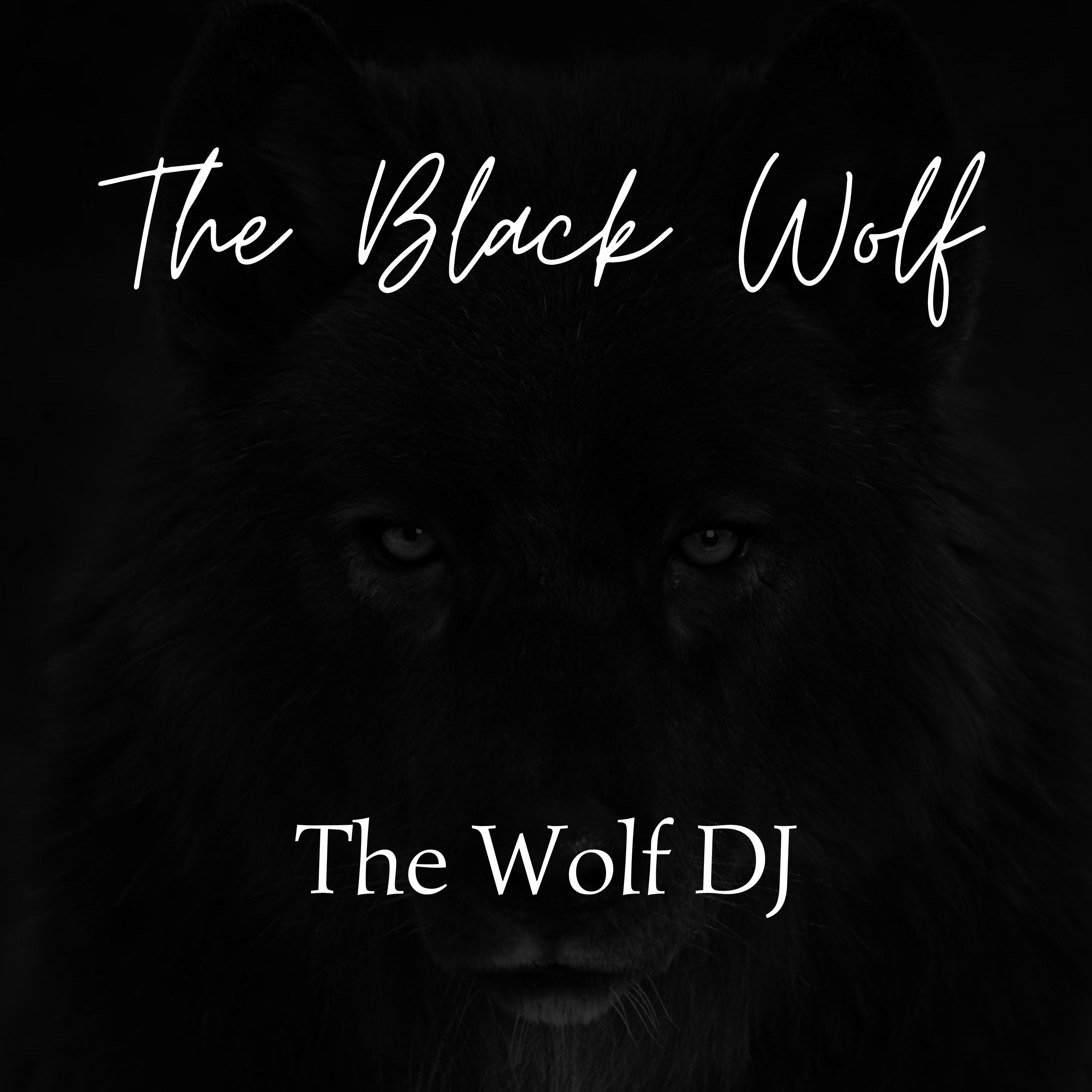 Постер альбома The Black Wolf