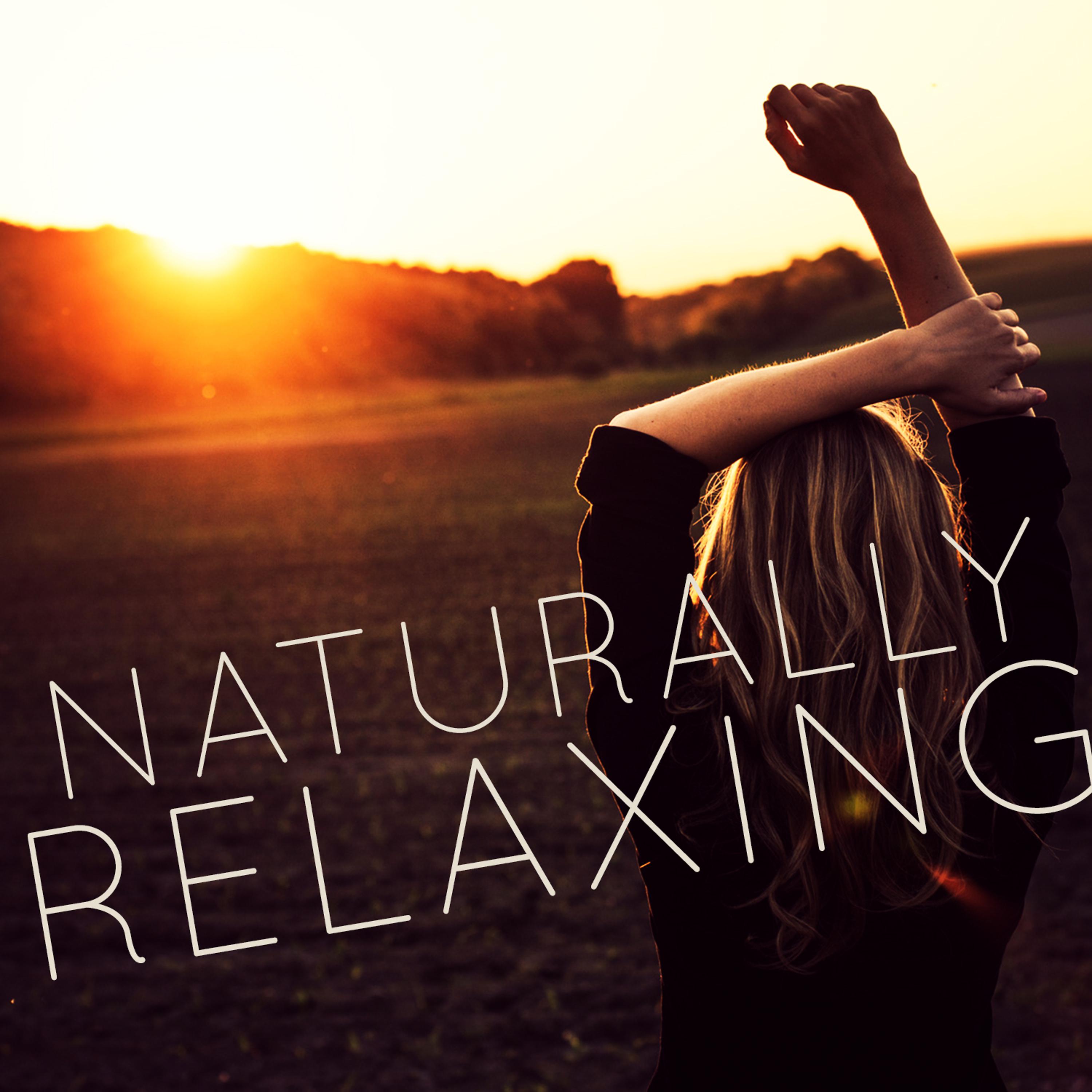 Постер альбома Naturally Relaxing