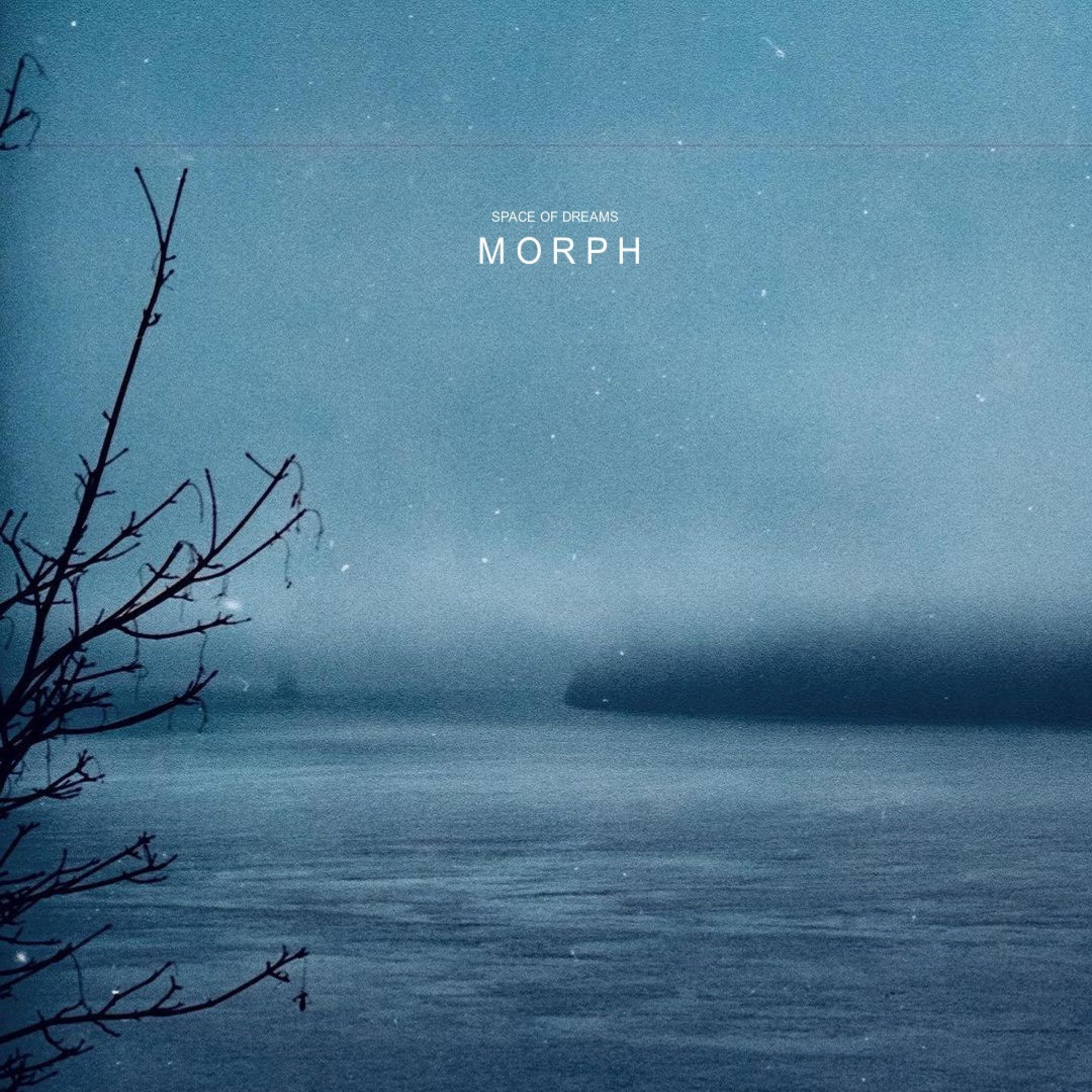 Постер альбома Morph