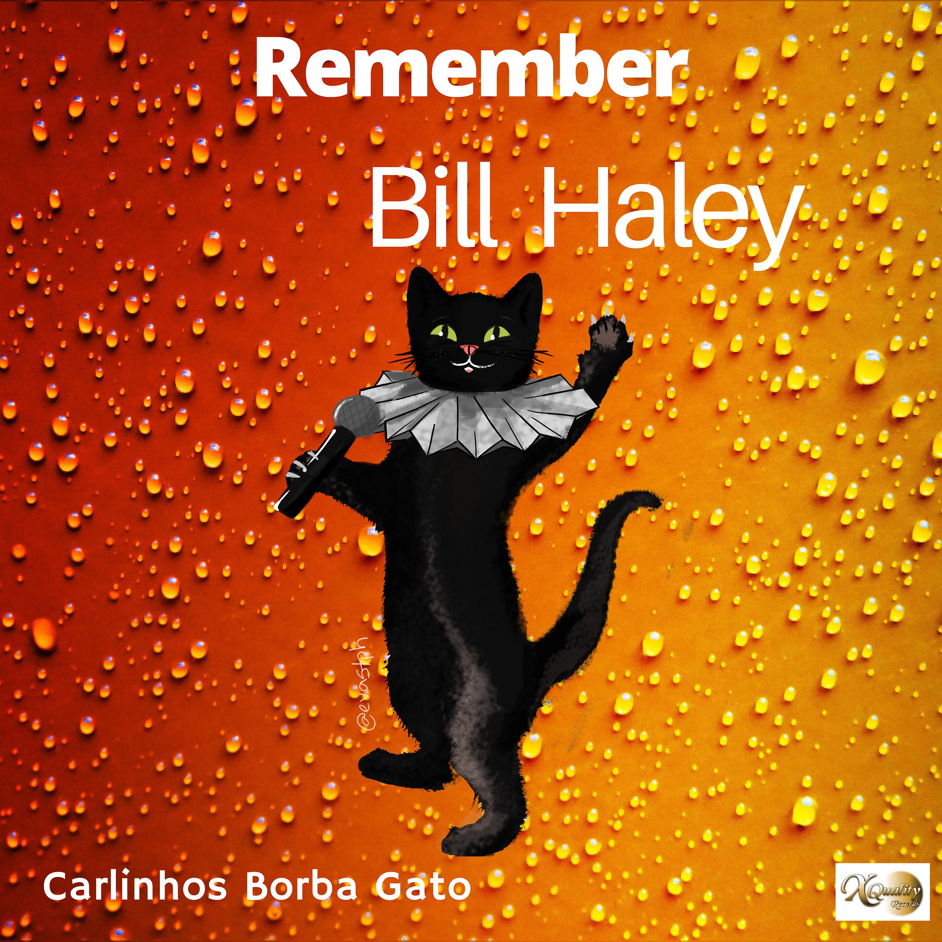 Постер альбома Remember Bill Haley