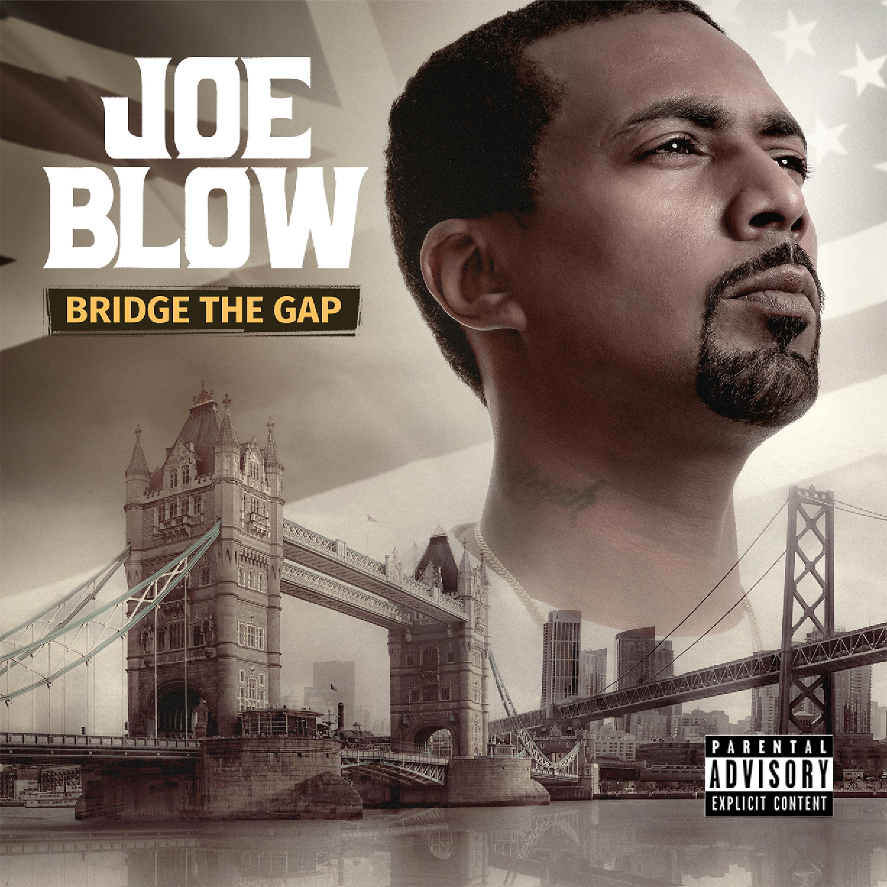 Постер альбома Bridge The Gap