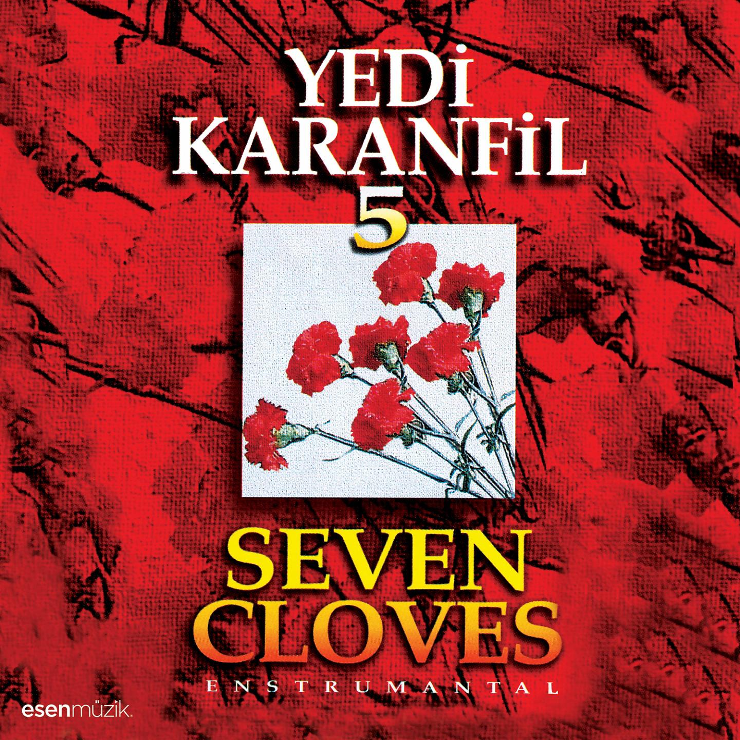 Постер альбома Yedi Karanfil, Vol. 5