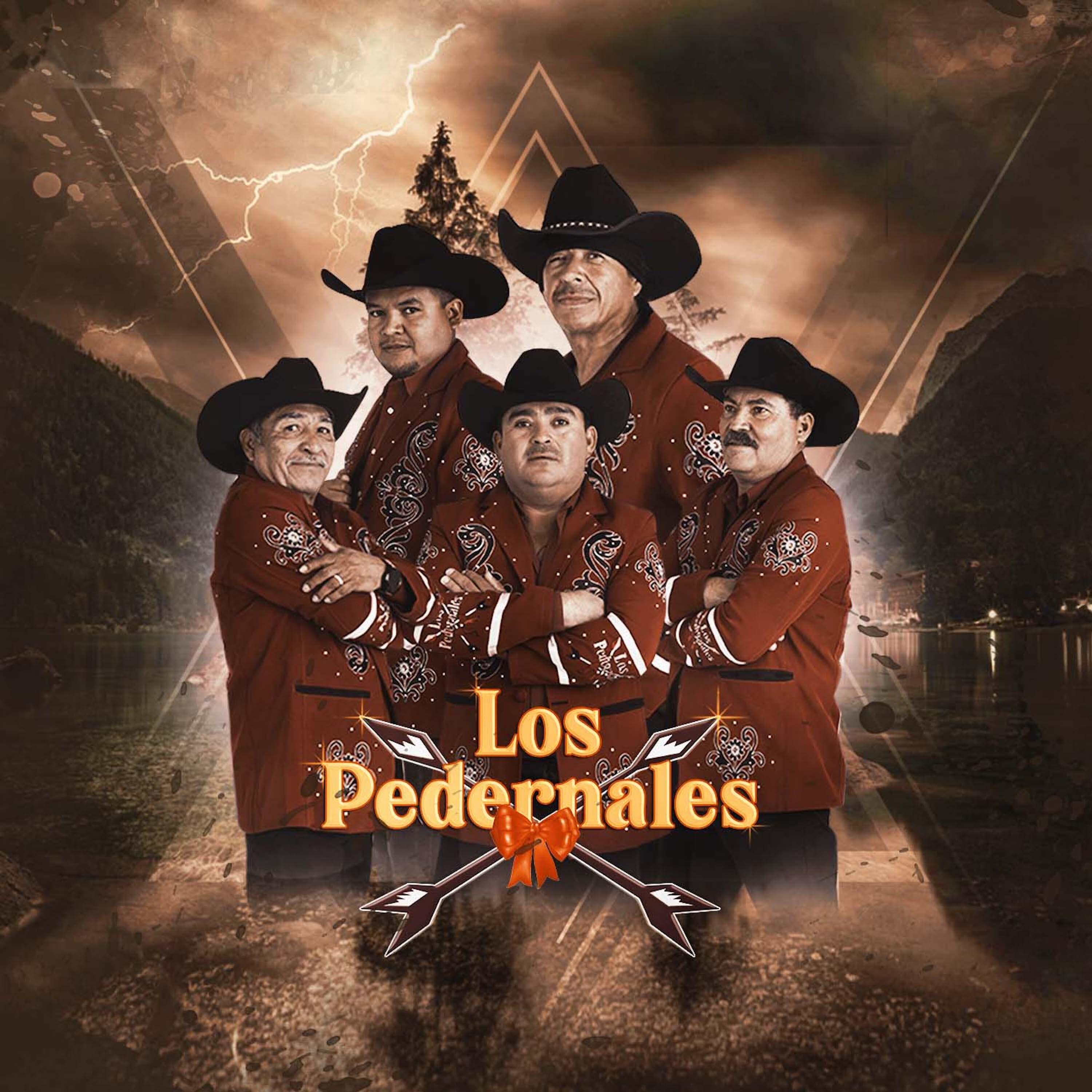 Постер альбома Los Pedernales